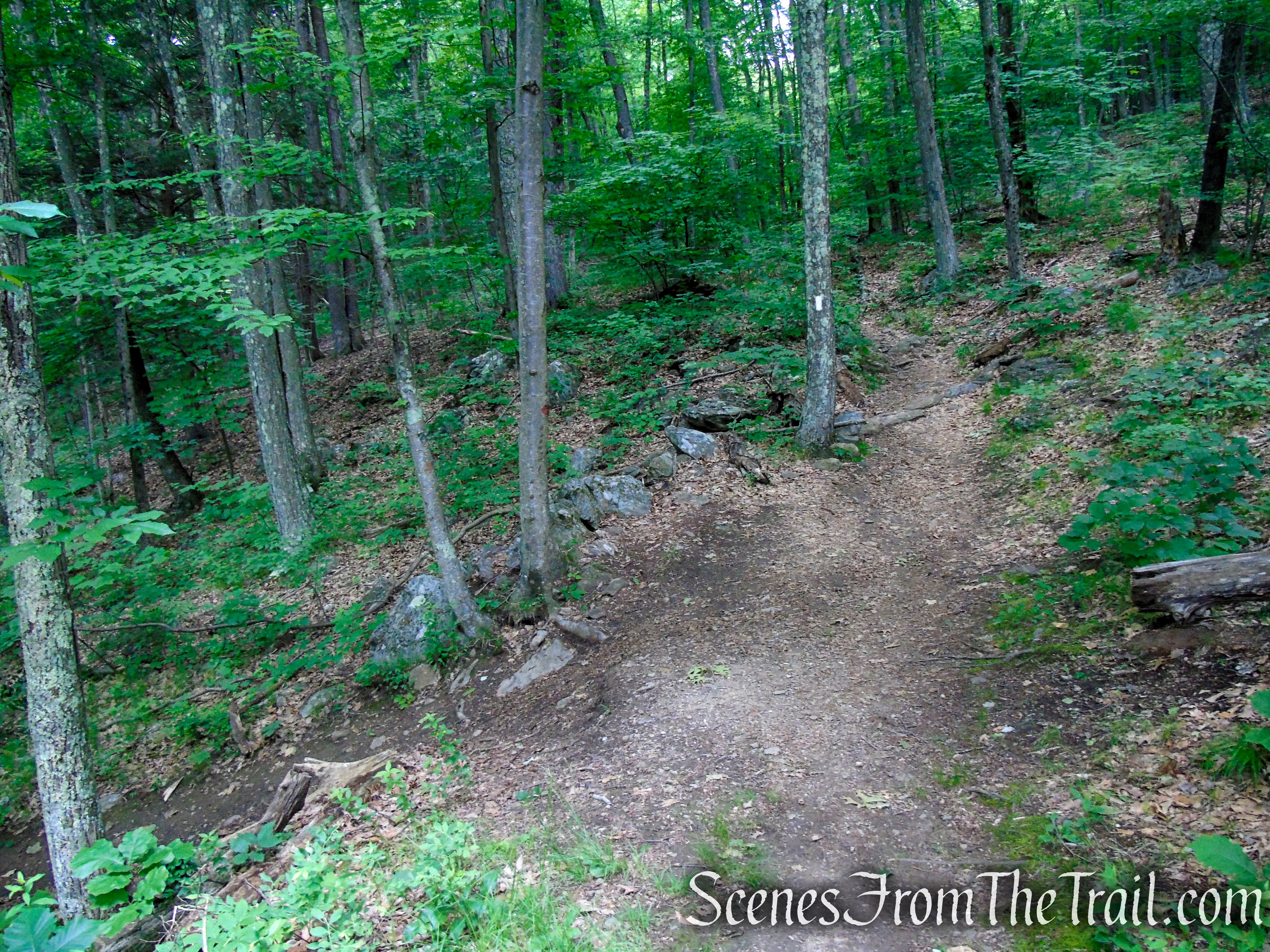 Appalachian Trail - Pawling, NY