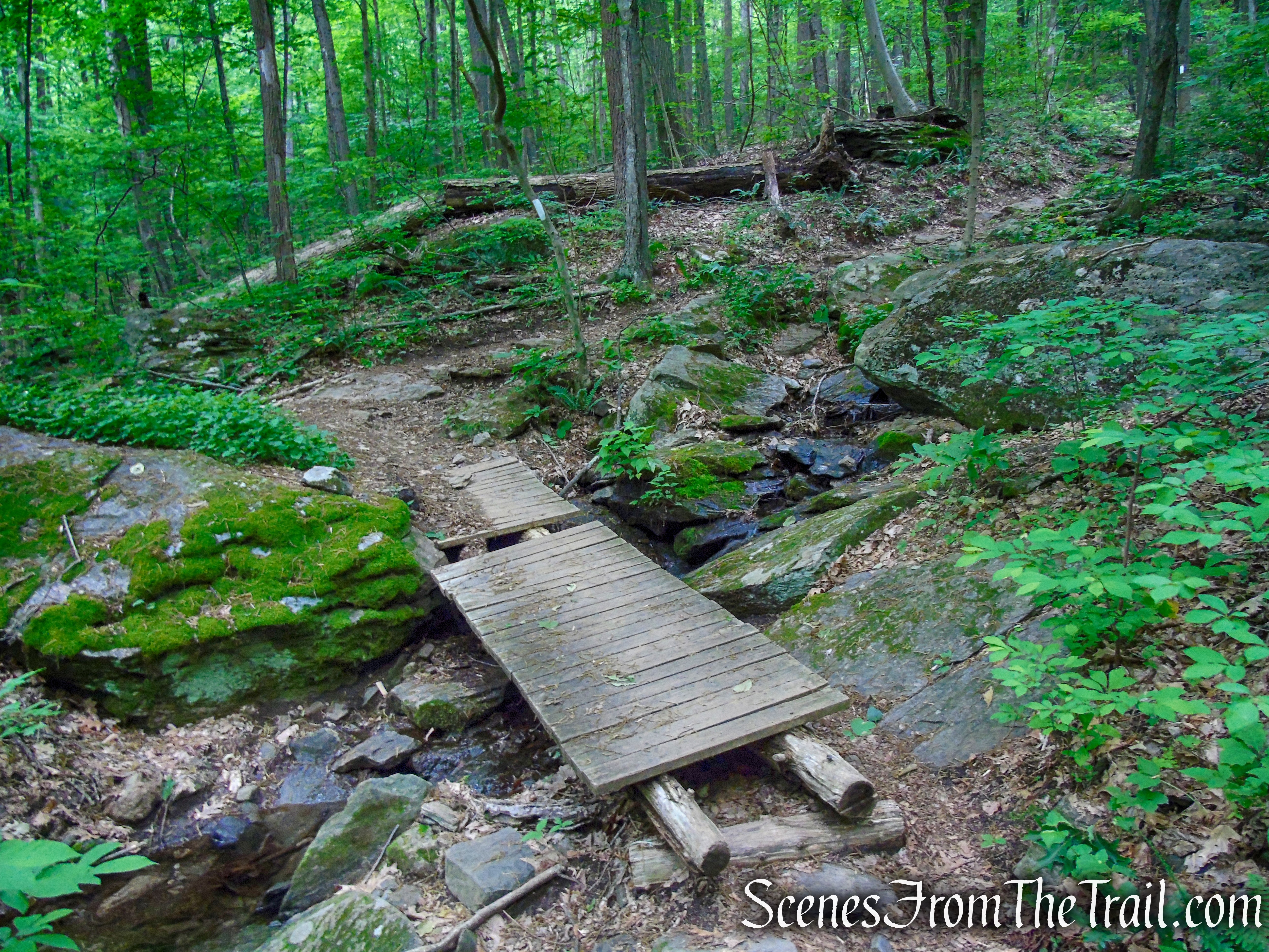 Appalachian Trail - Pawling, NY