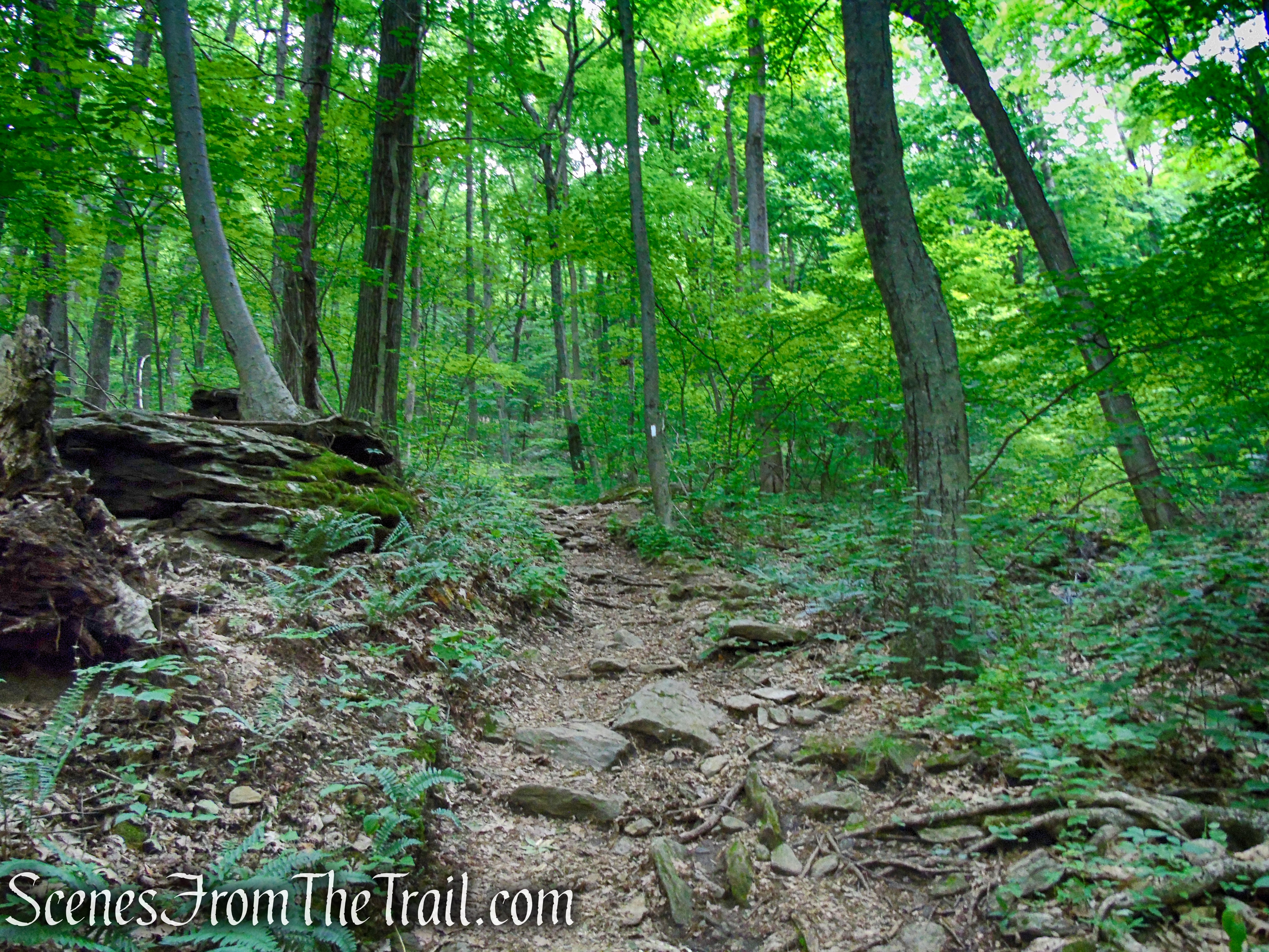 Appalachian Trail - Pawling, NY