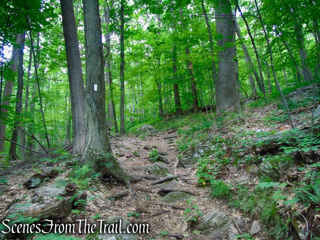 Appalachian Trail - Pawling, NY