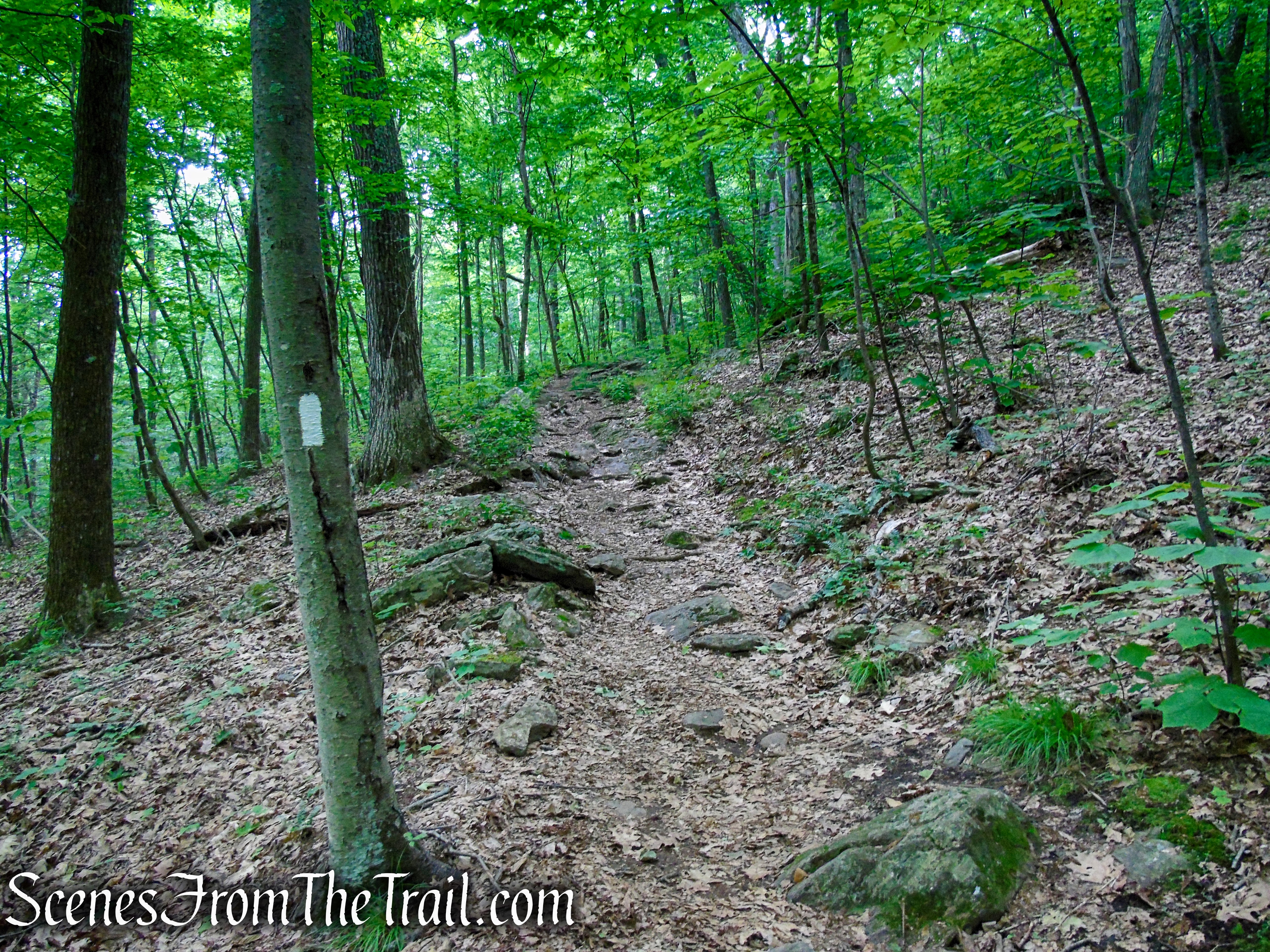 Appalachian Trail - Pawling, NY
