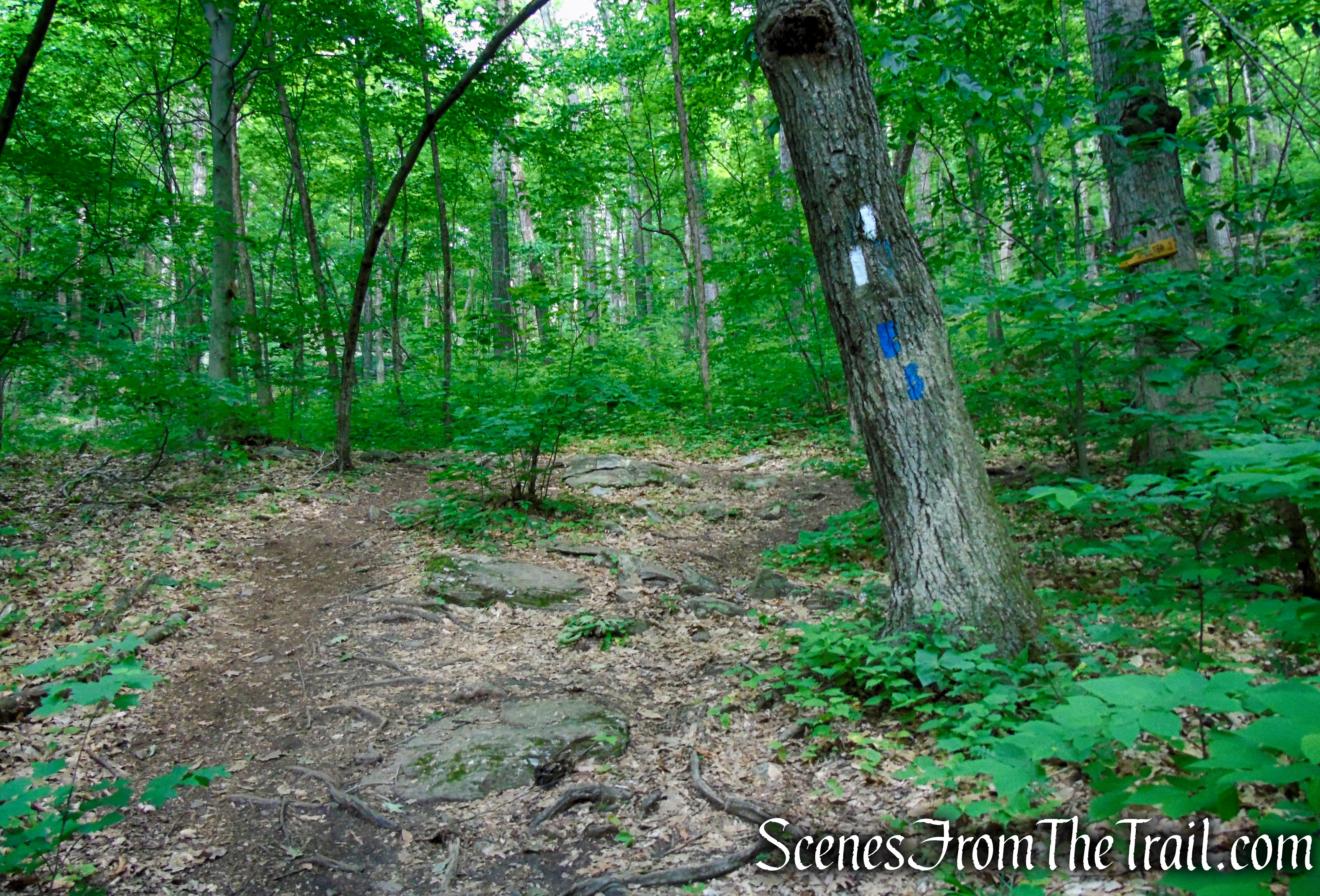 turn right on Appalachian Trail