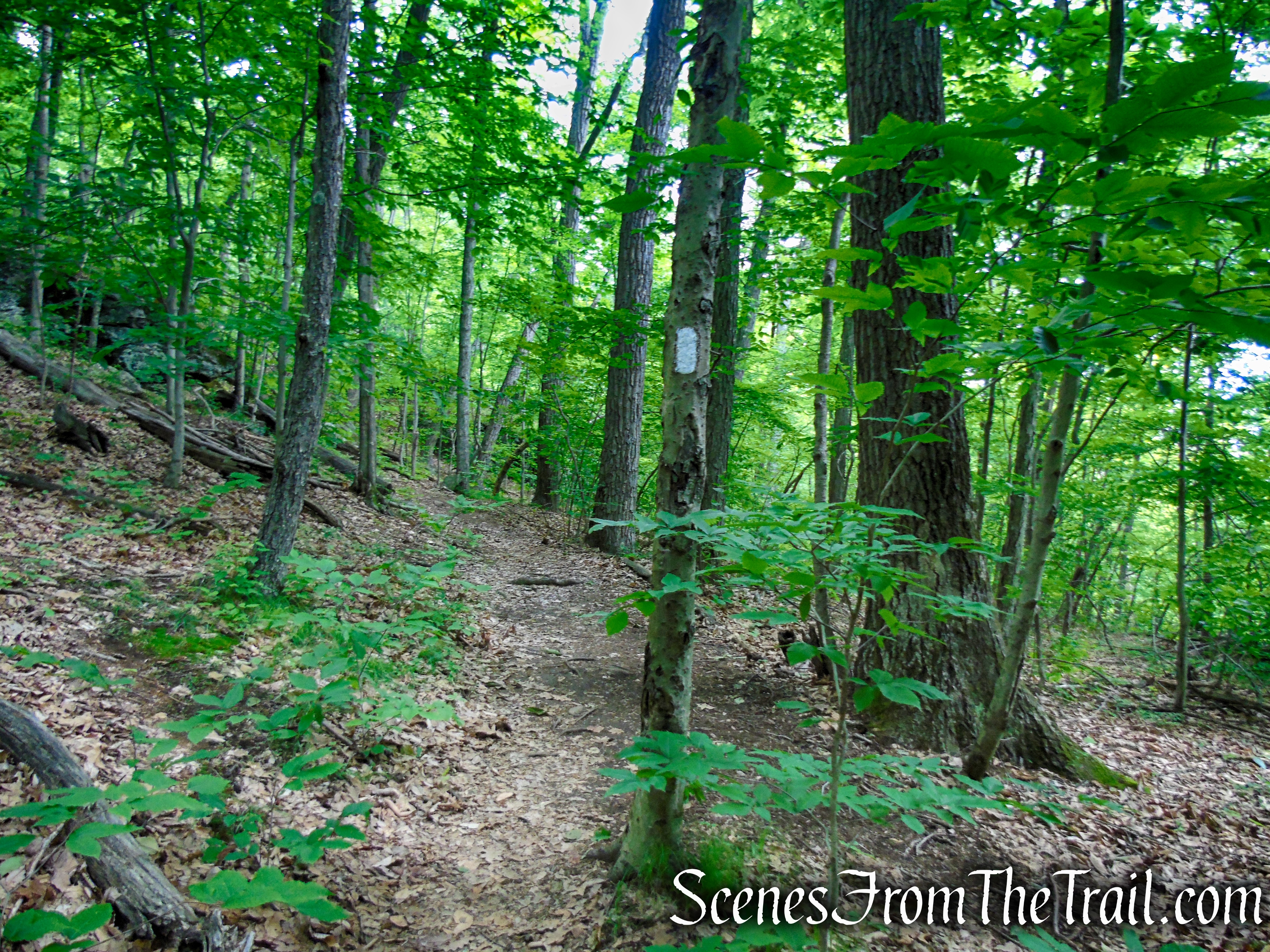 Appalachian Trail - Pawling, NY