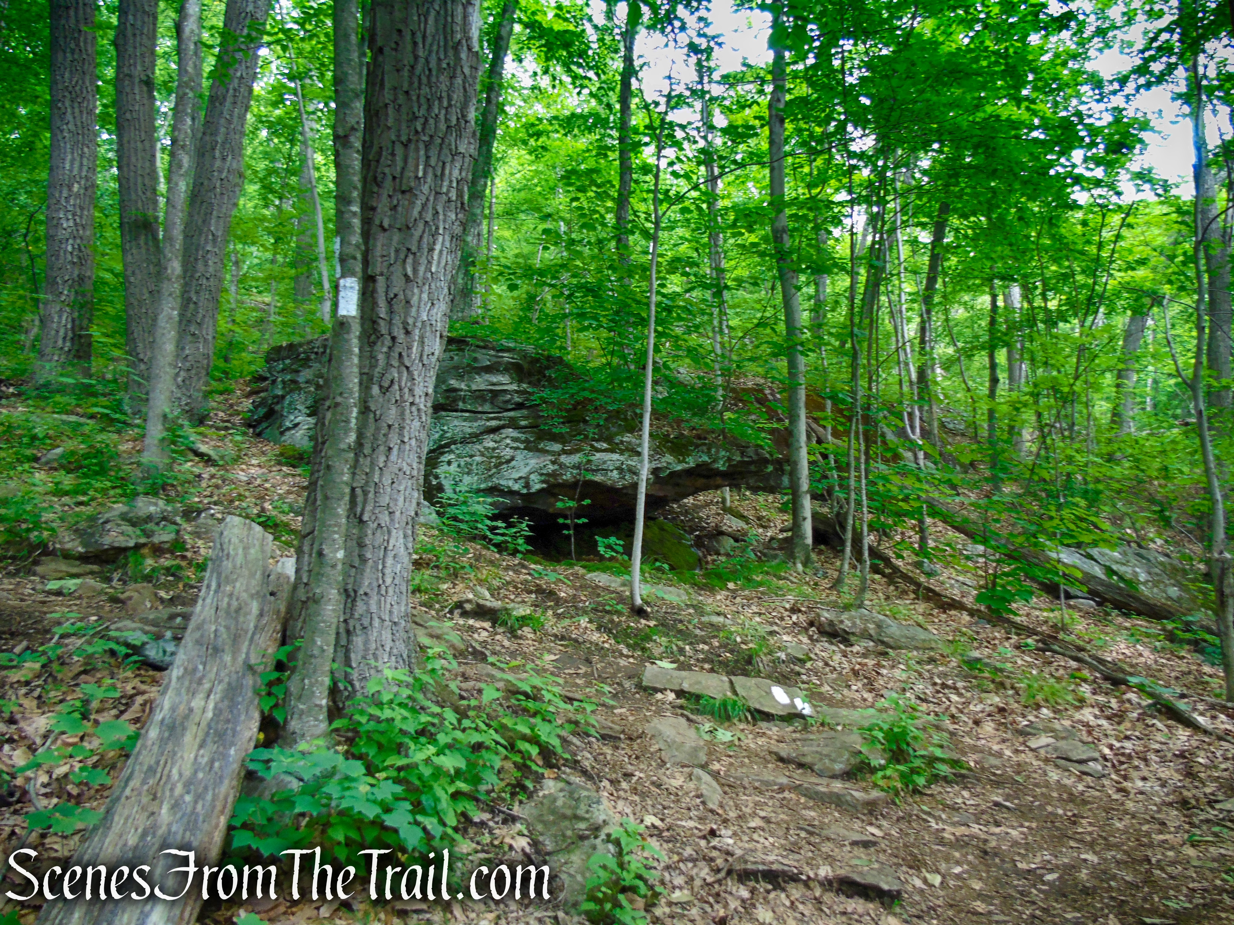 Appalachian Trail - Pawling, NY
