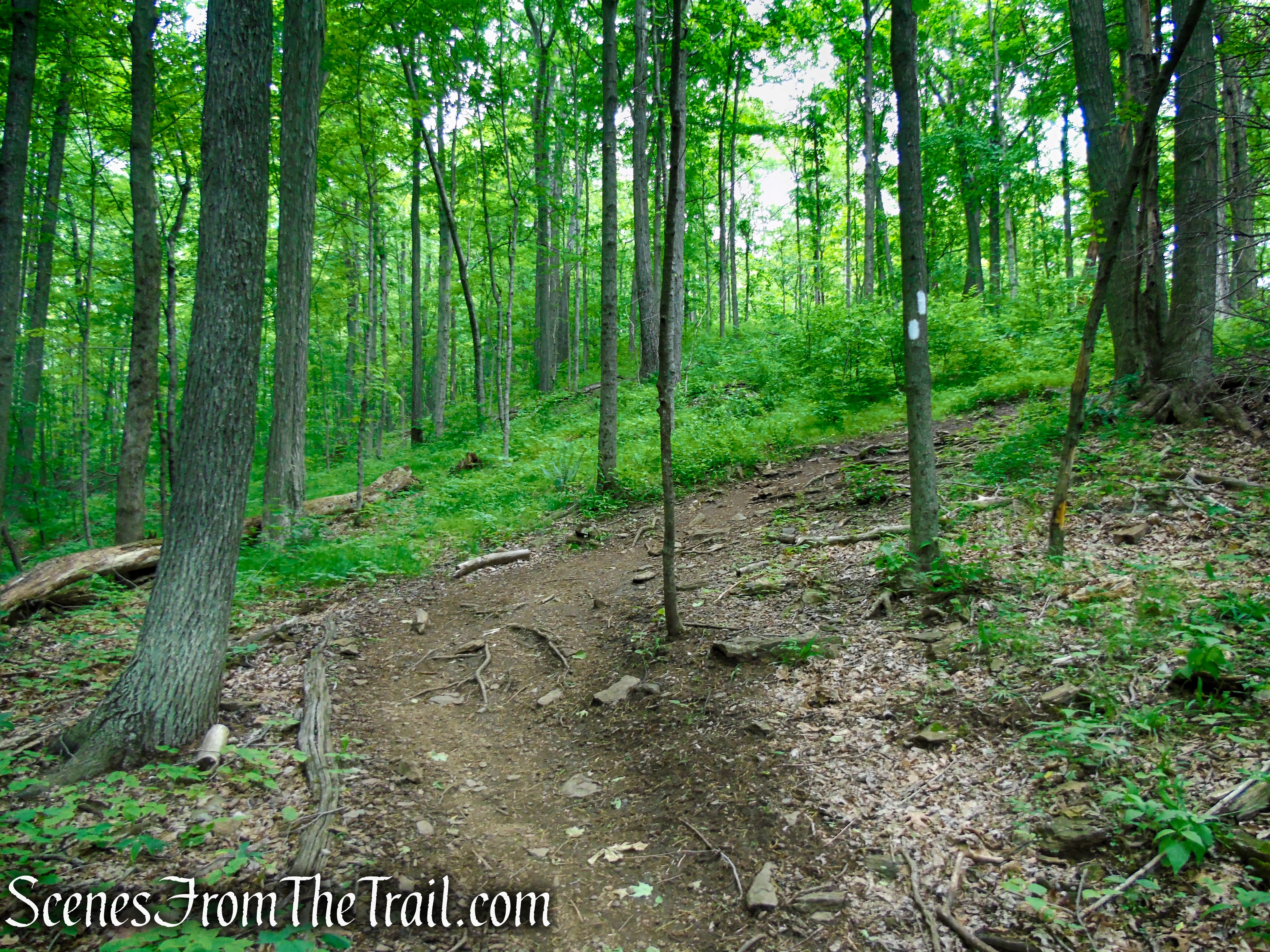 Appalachian Trail - Pawling, NY