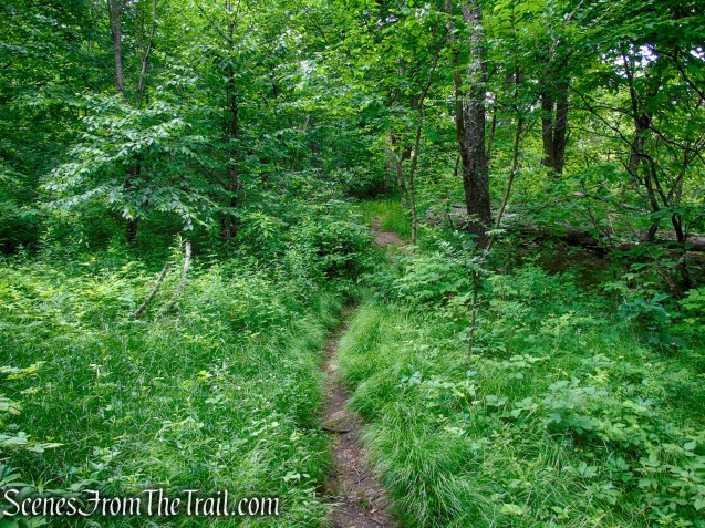 Appalachian Trail - Pawling, NY