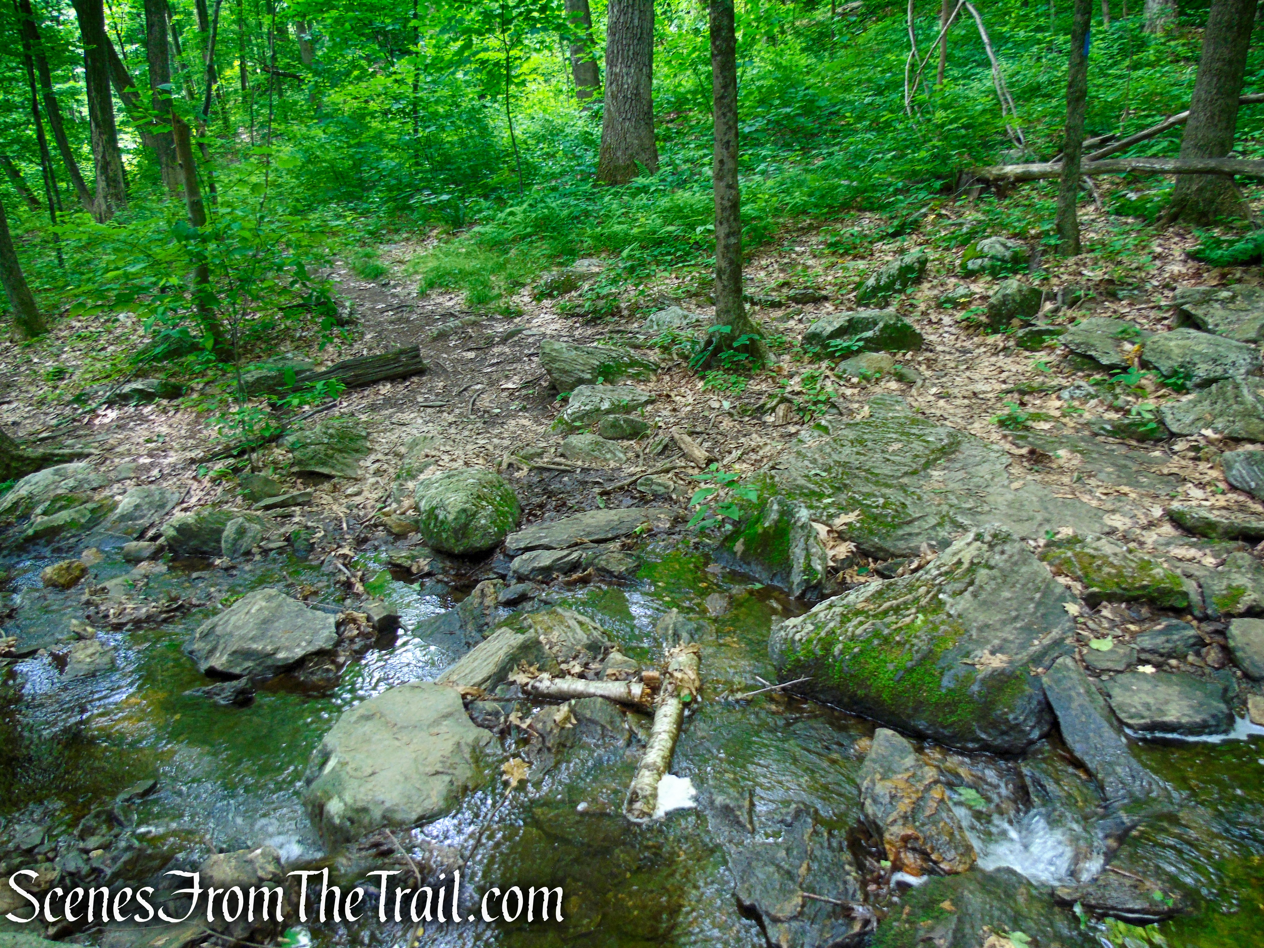 Telephone Pioneers Shelter - Appalachian Trail