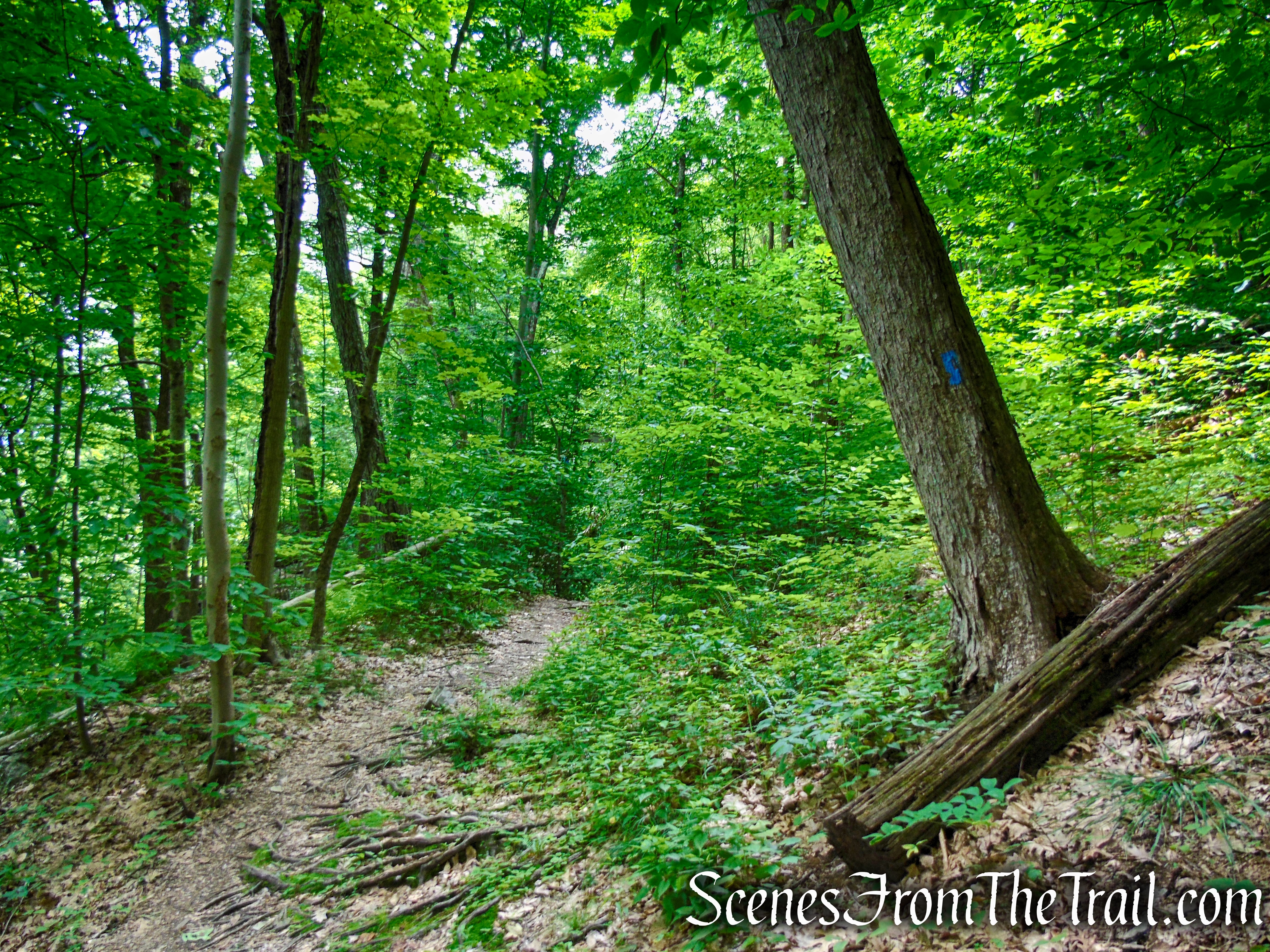 Telephone Pioneers Shelter - Appalachian Trail