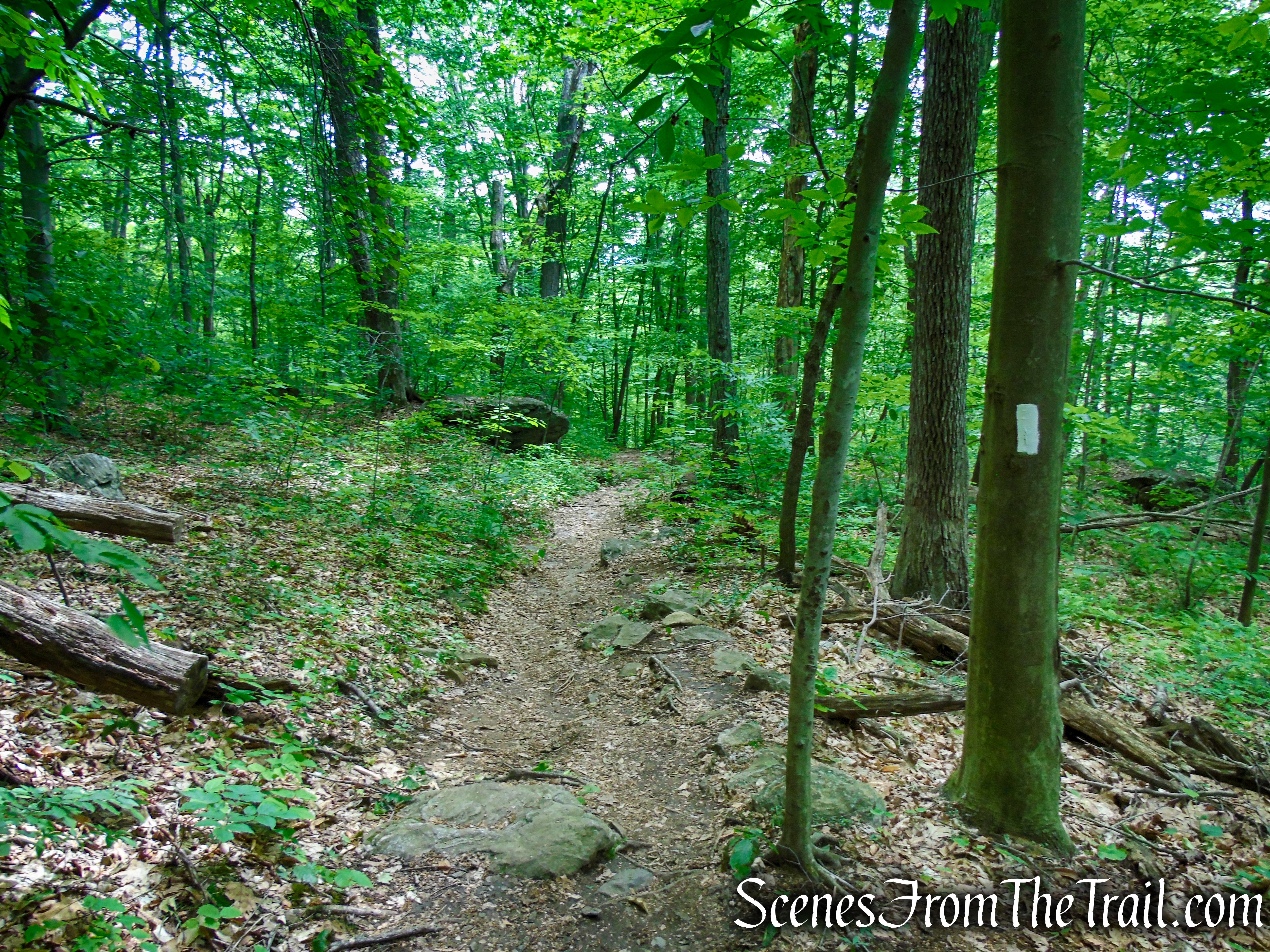 Appalachian Trail - Pawling, NY
