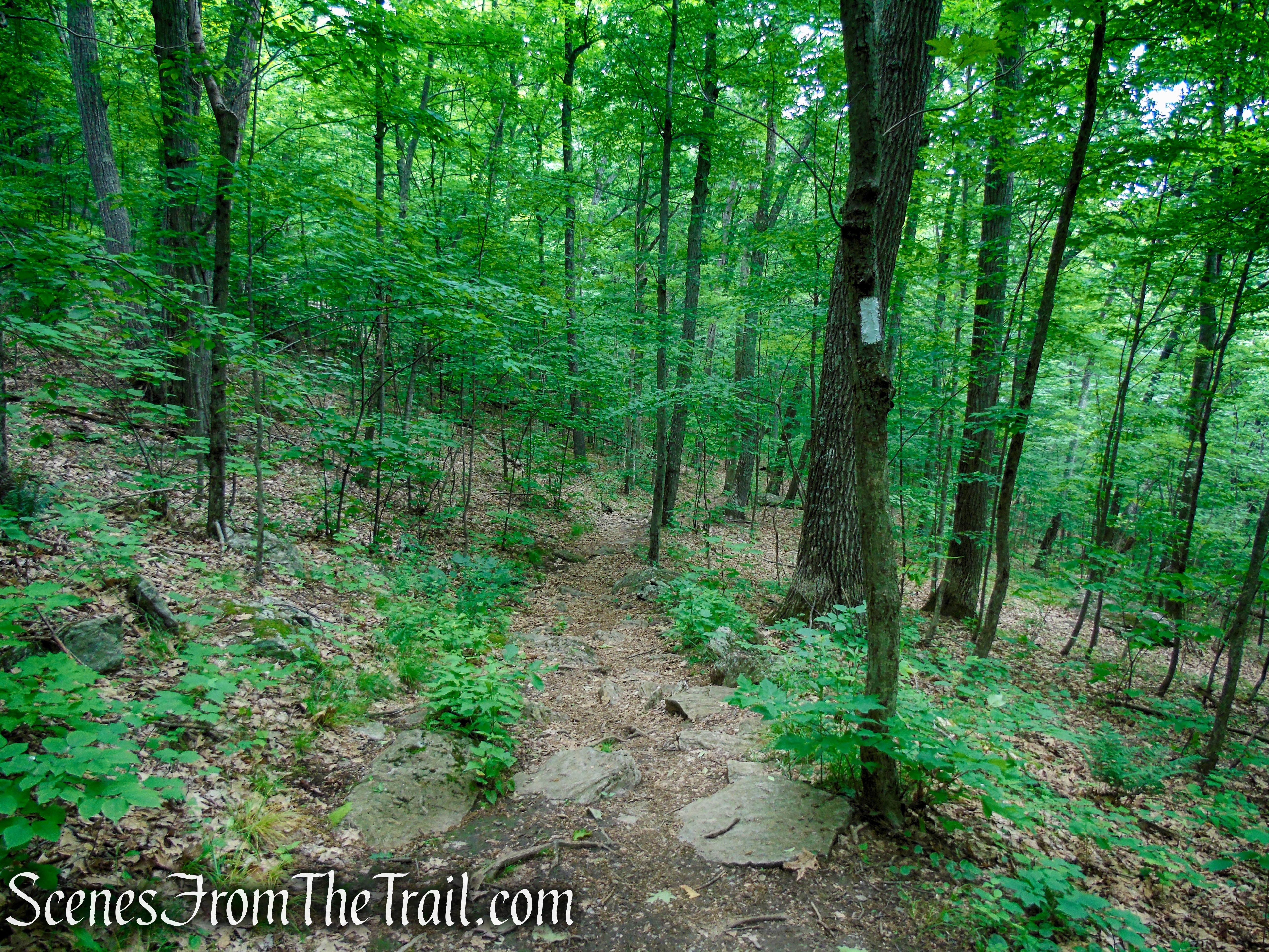 Appalachian Trail - Pawling, NY