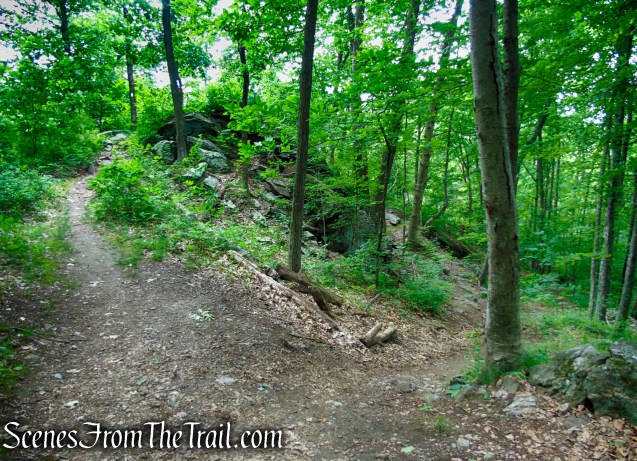 turn right on unmarked bypass trail