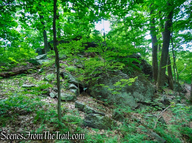 unmarked bypass trail