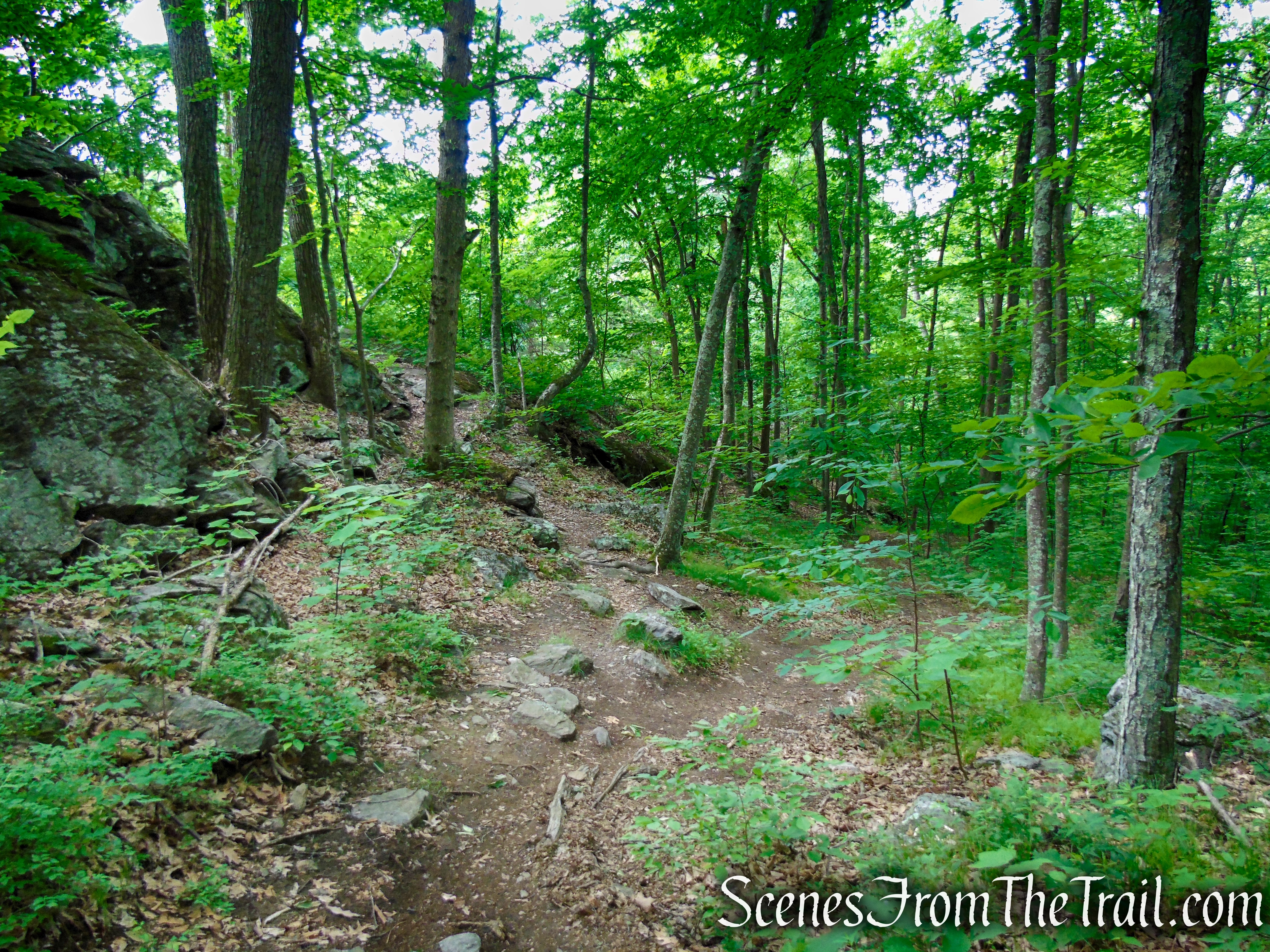 unmarked bypass trail