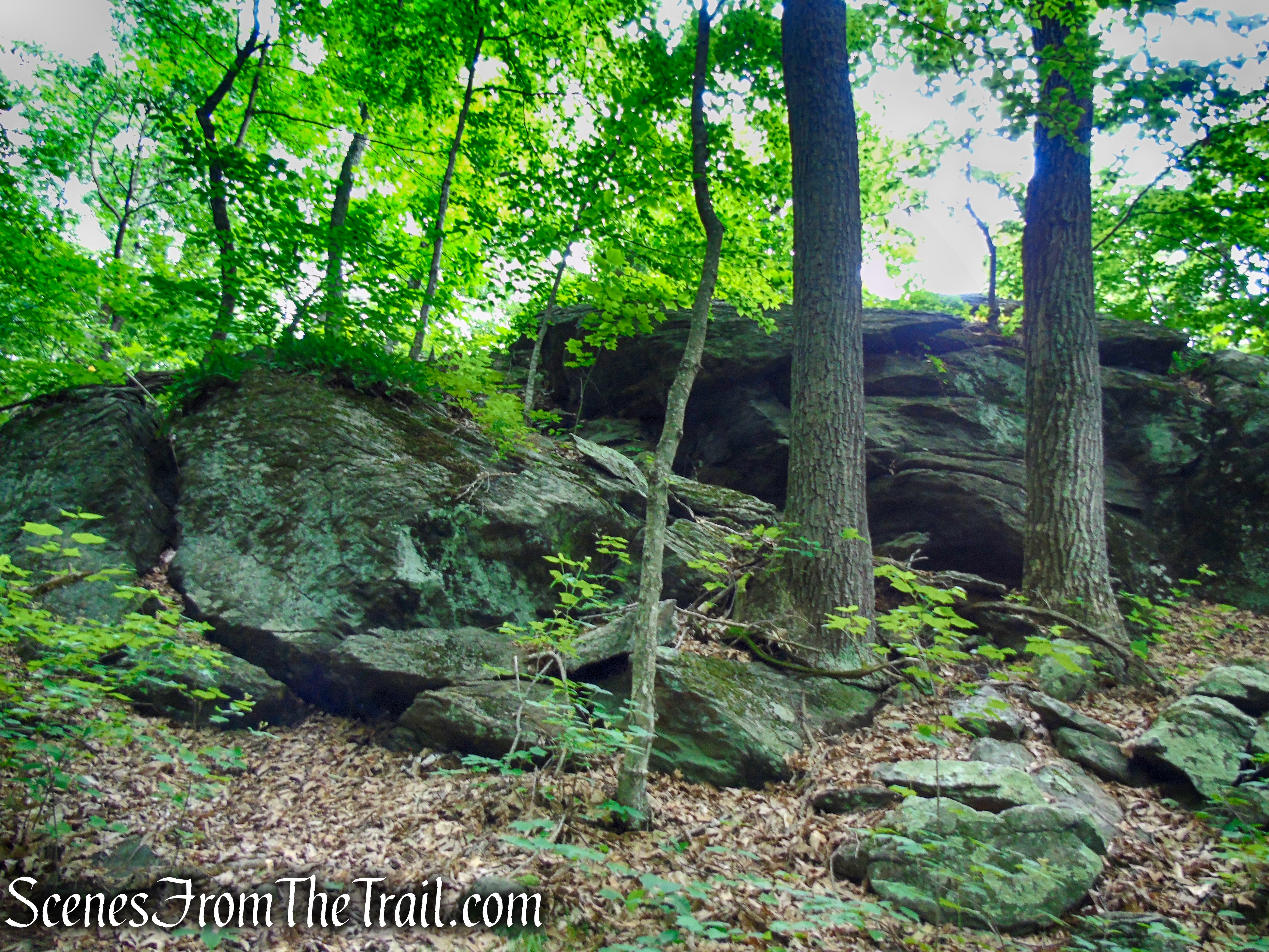 unmarked bypass trail