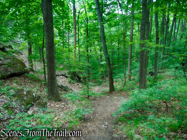 unmarked bypass trail