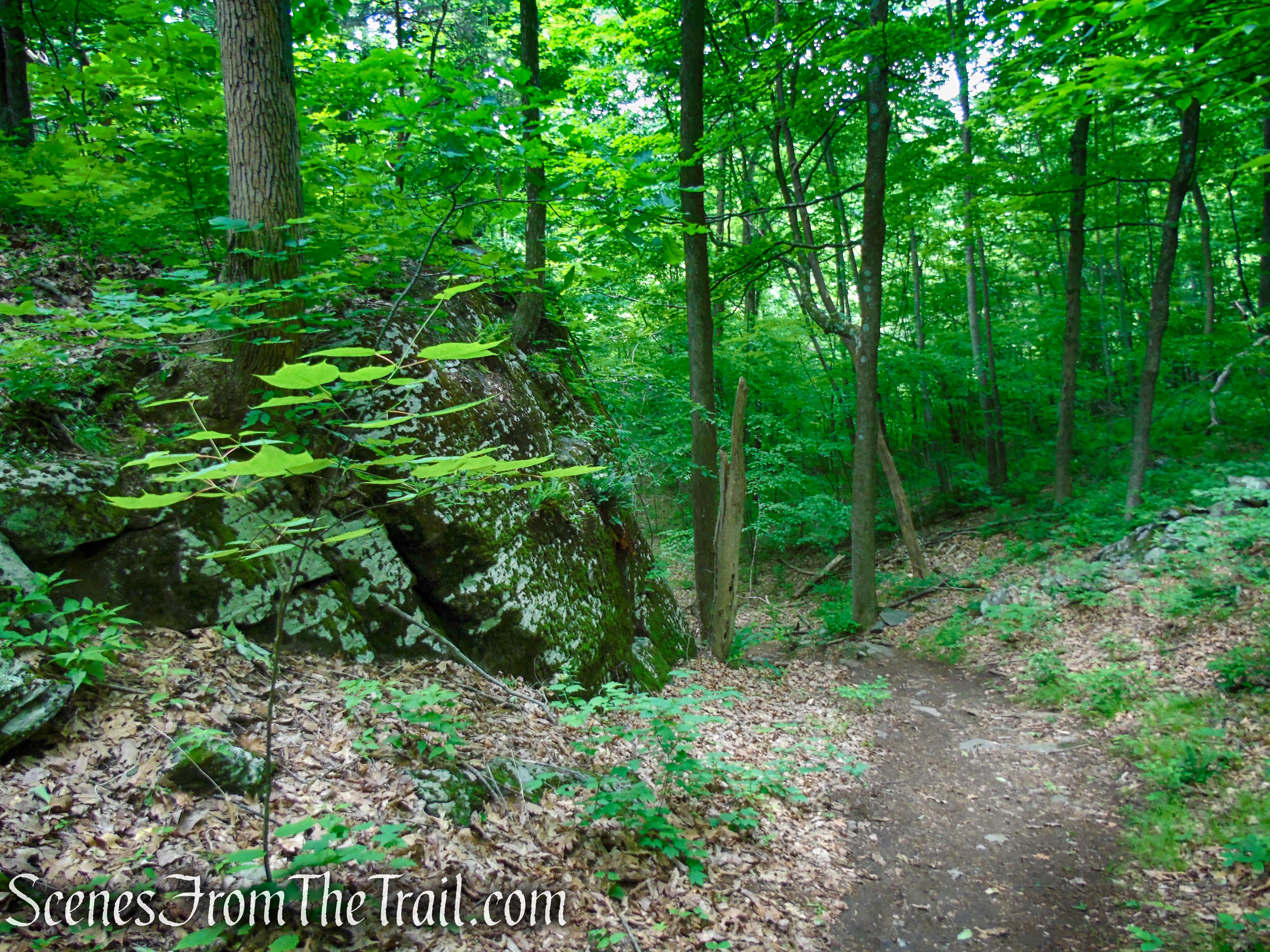 unmarked bypass trail
