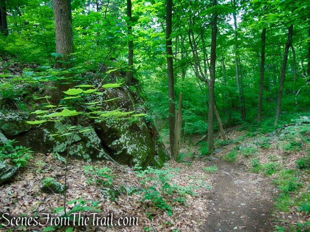 unmarked bypass trail