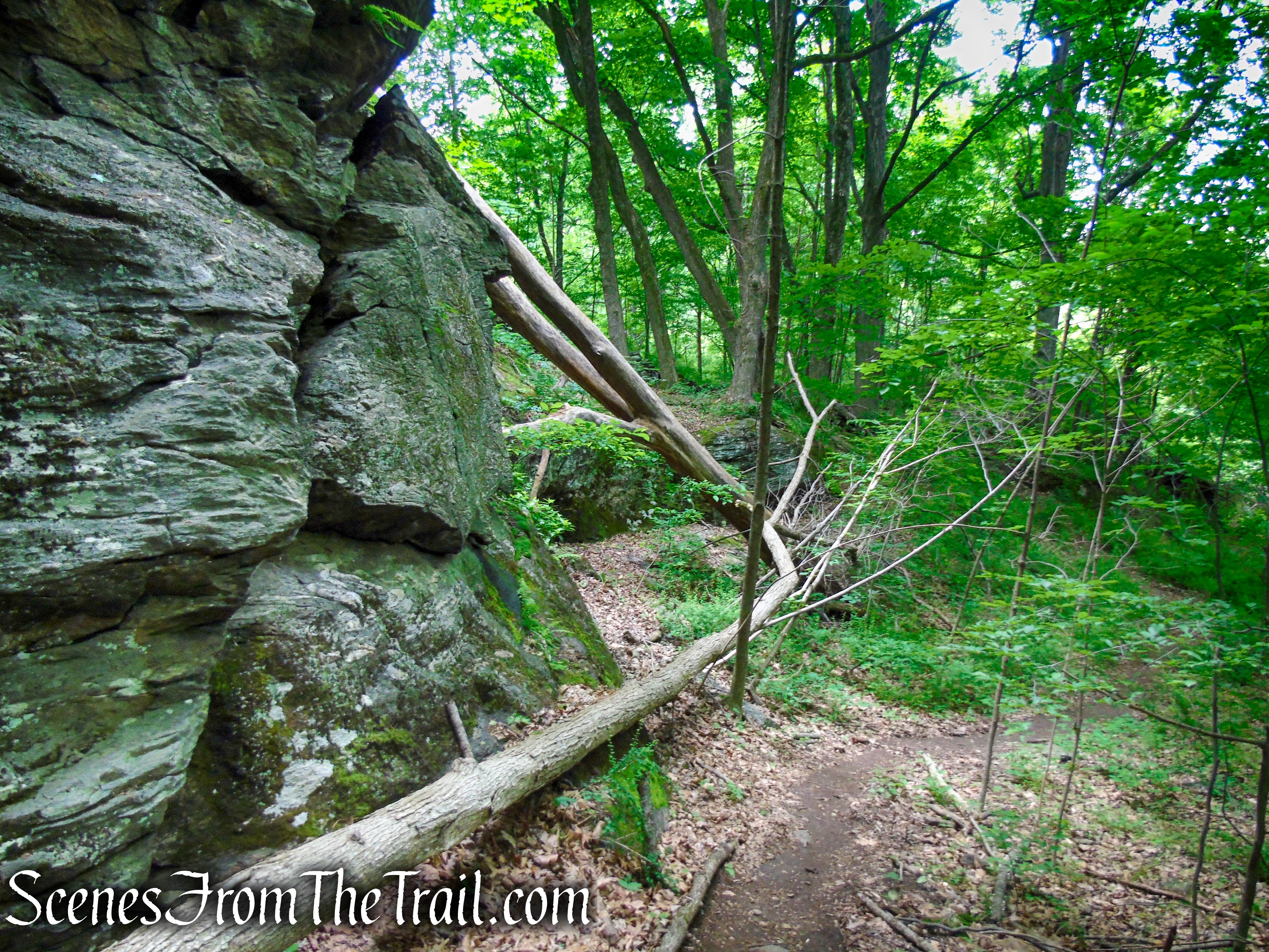 unmarked bypass trail