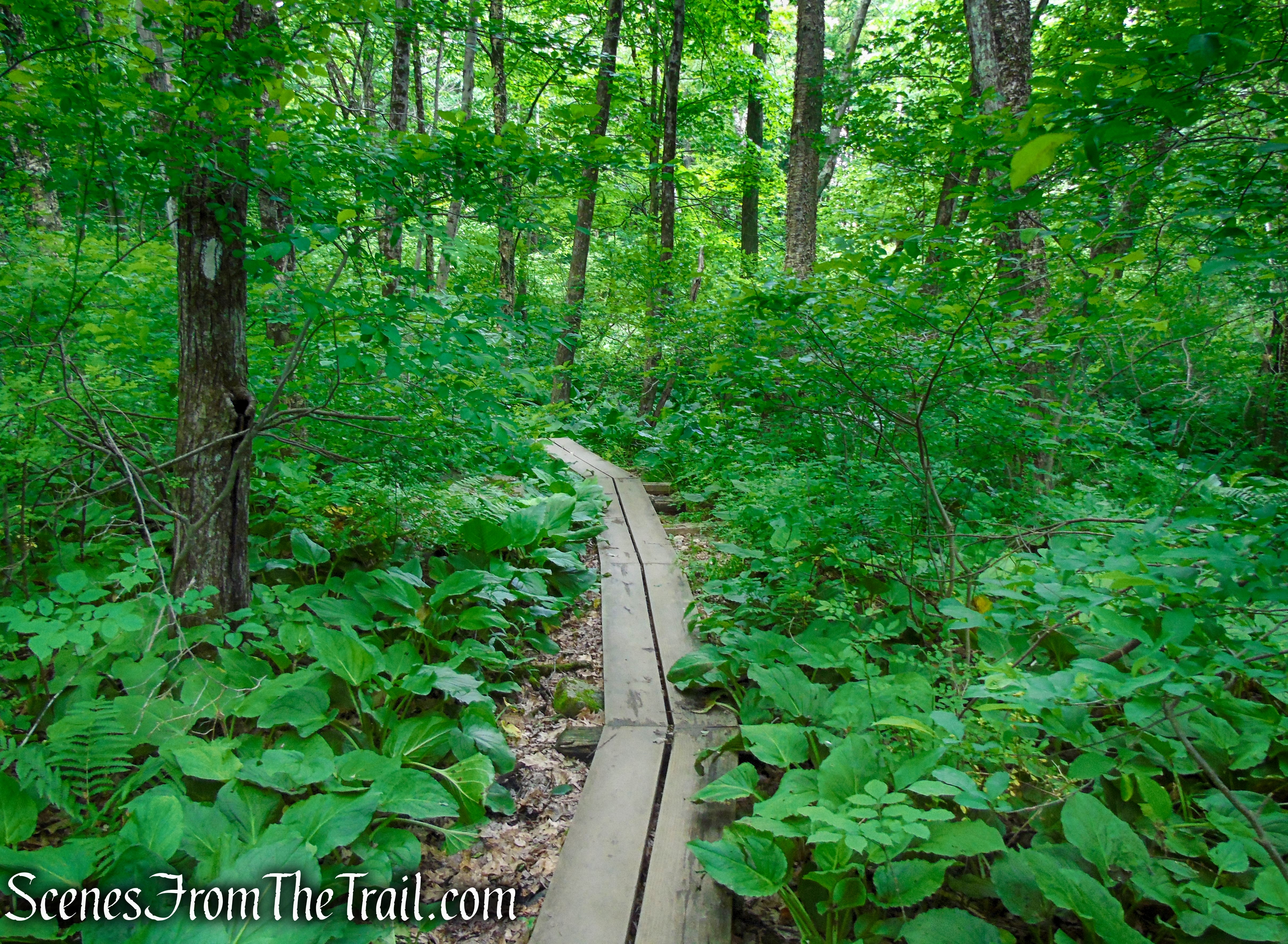 Appalachian Trail - Pawling, NY