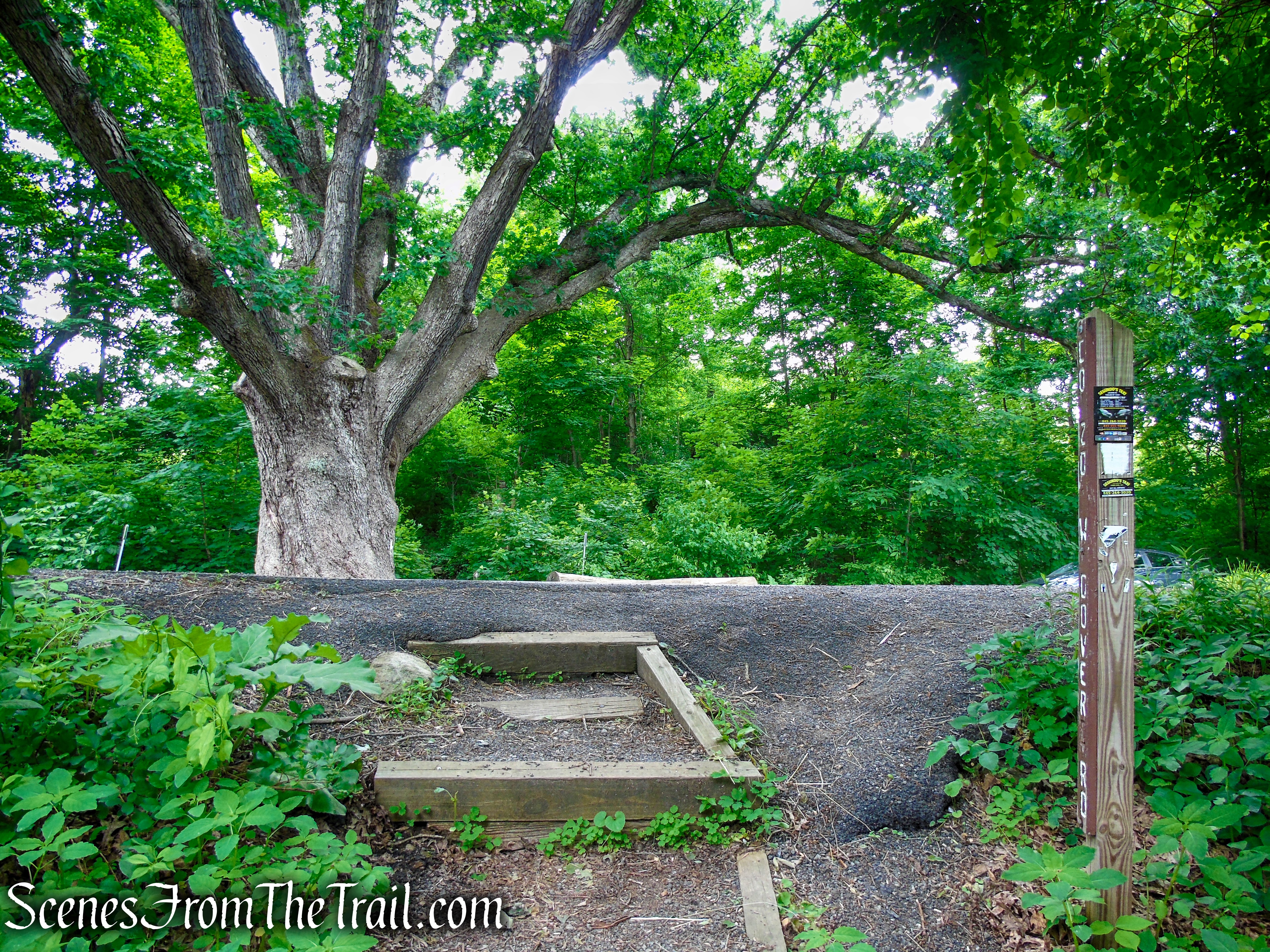 Appalachian Trail at West Dover Road - Pawling, NY