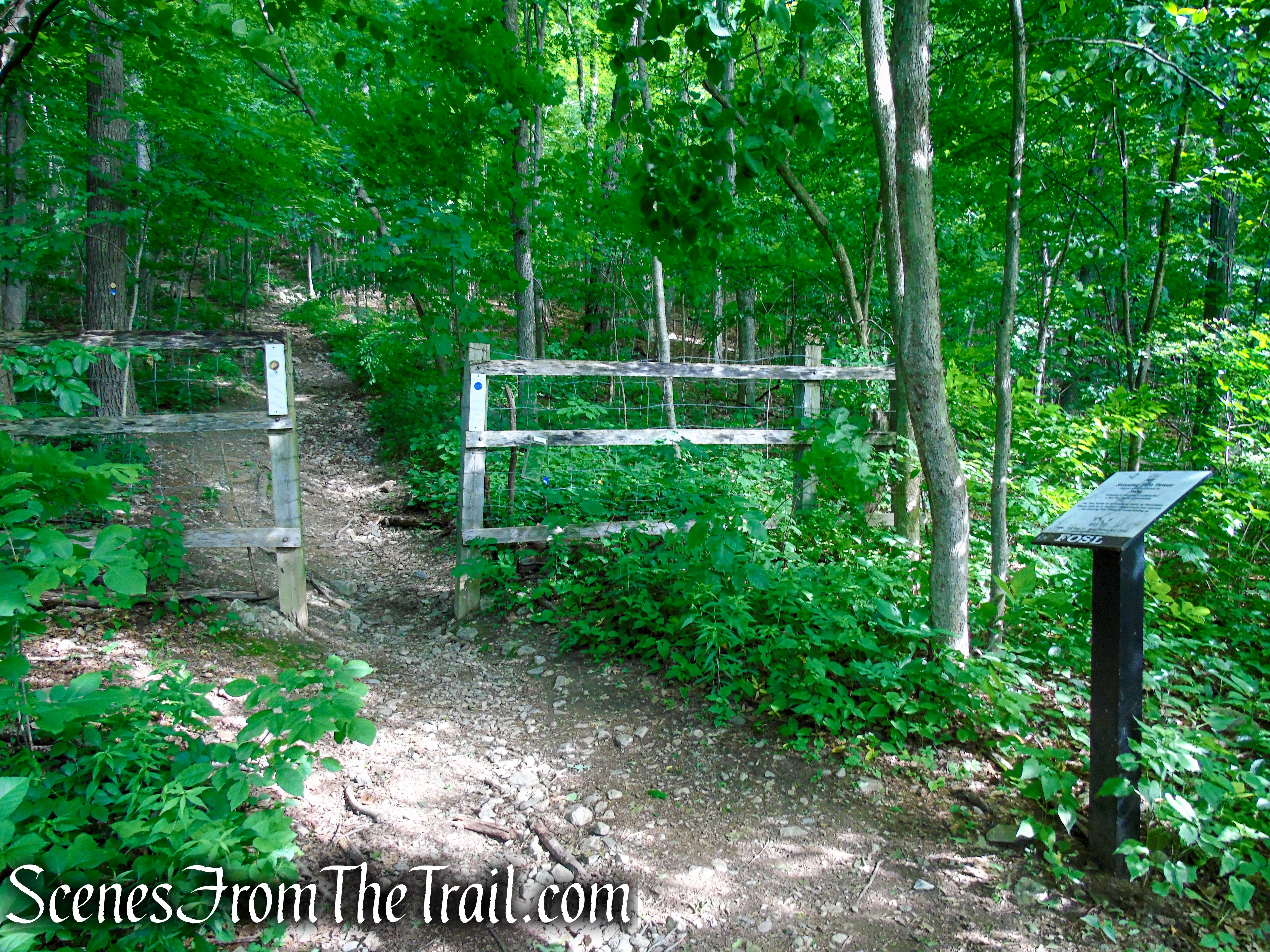 Stissing Mountain Fire Tower Trailhead