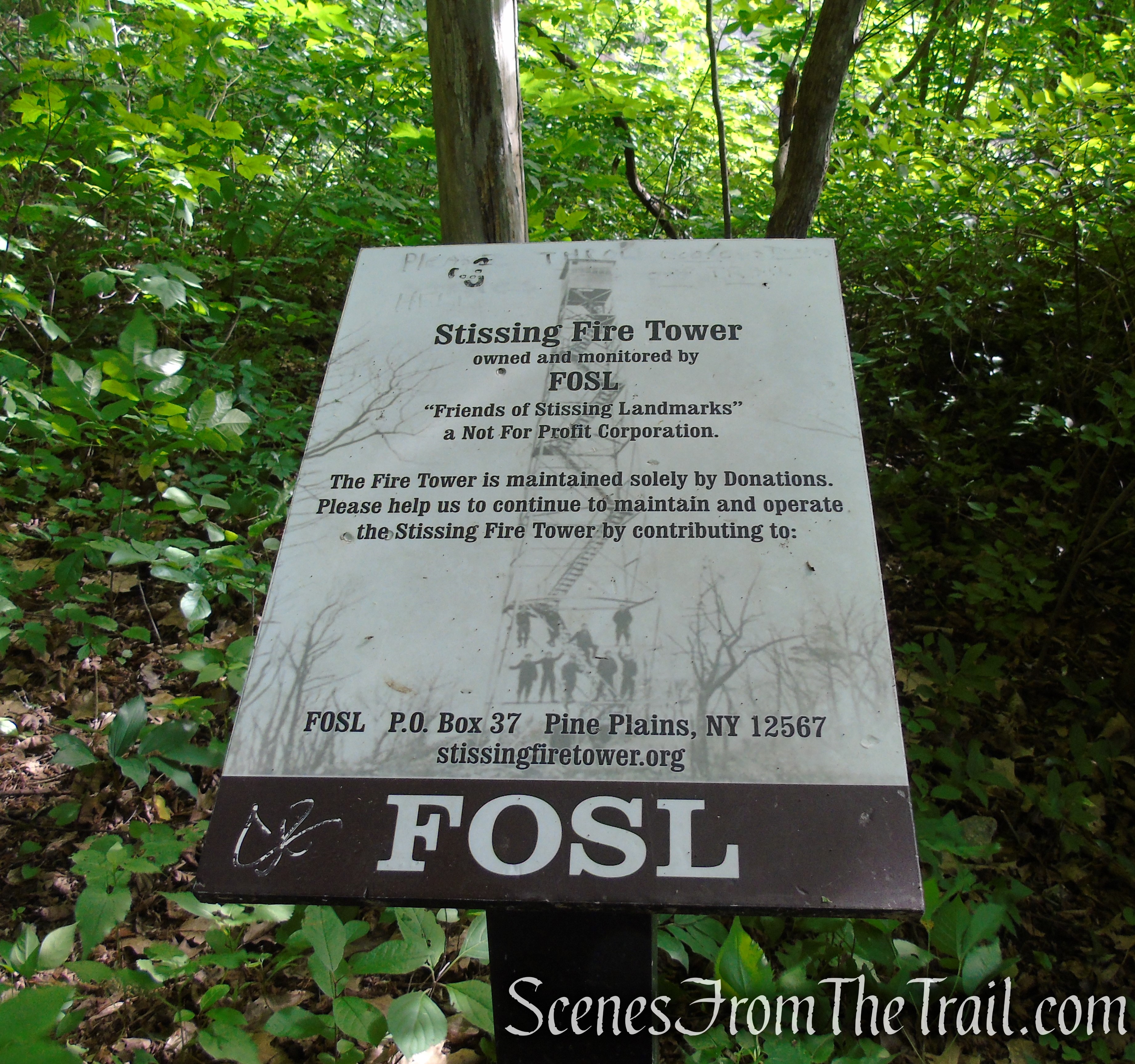 Stissing Mountain Fire Tower Trailhead