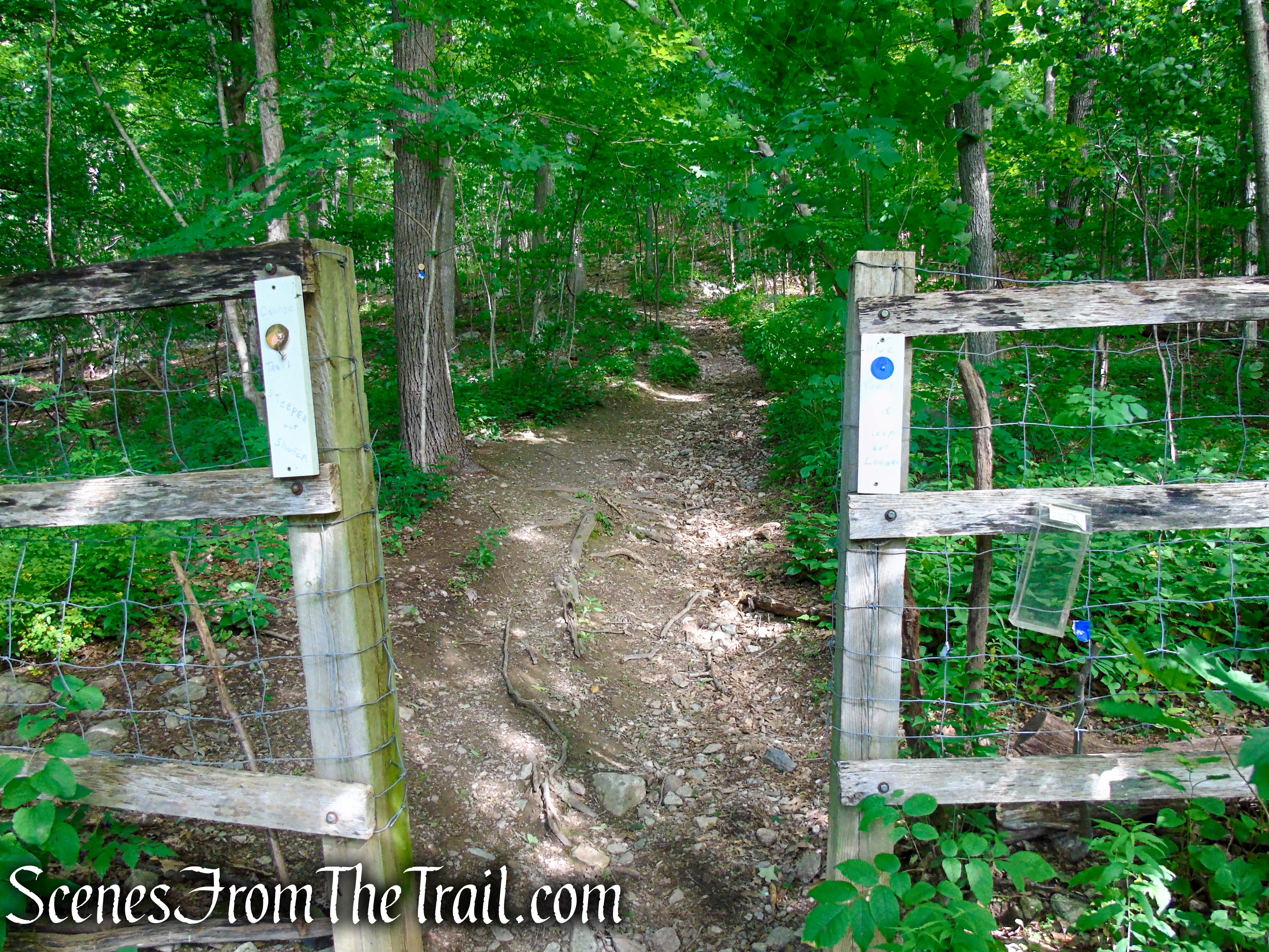 Stissing Mountain Fire Tower Trailhead