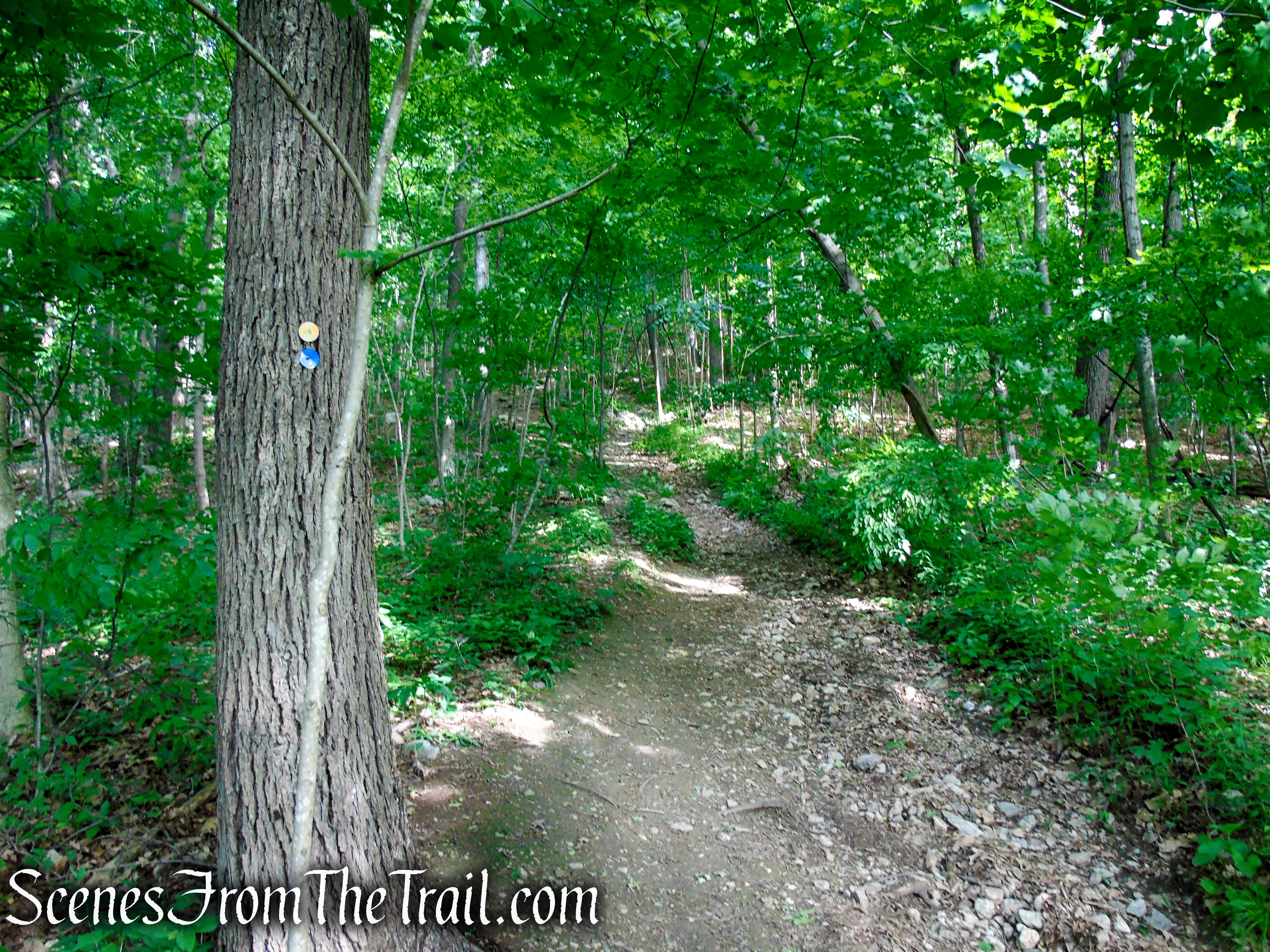 Blue/Orange Trail - Stissing Mountain