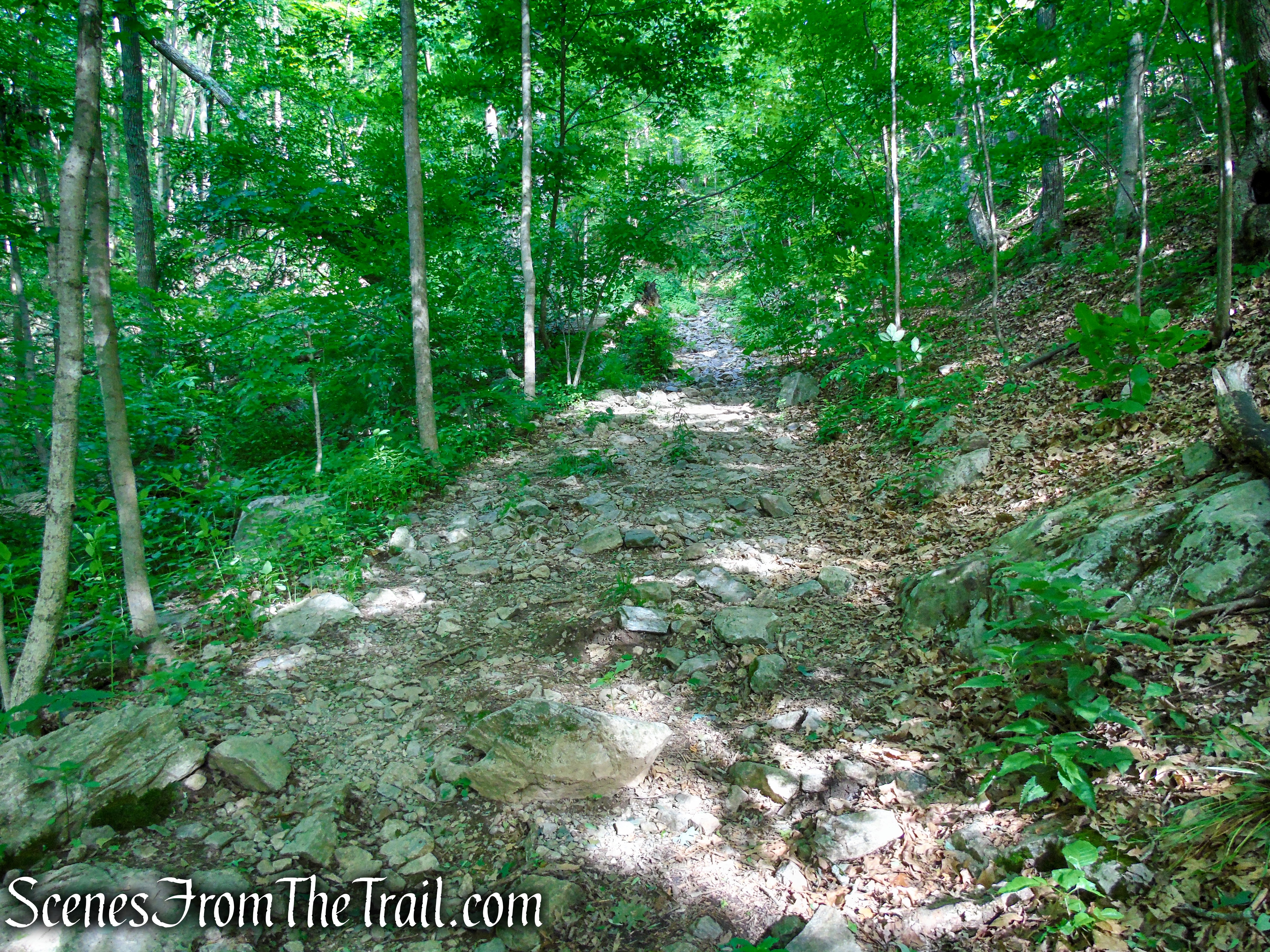 Blue/Orange Trail - Stissing Mountain