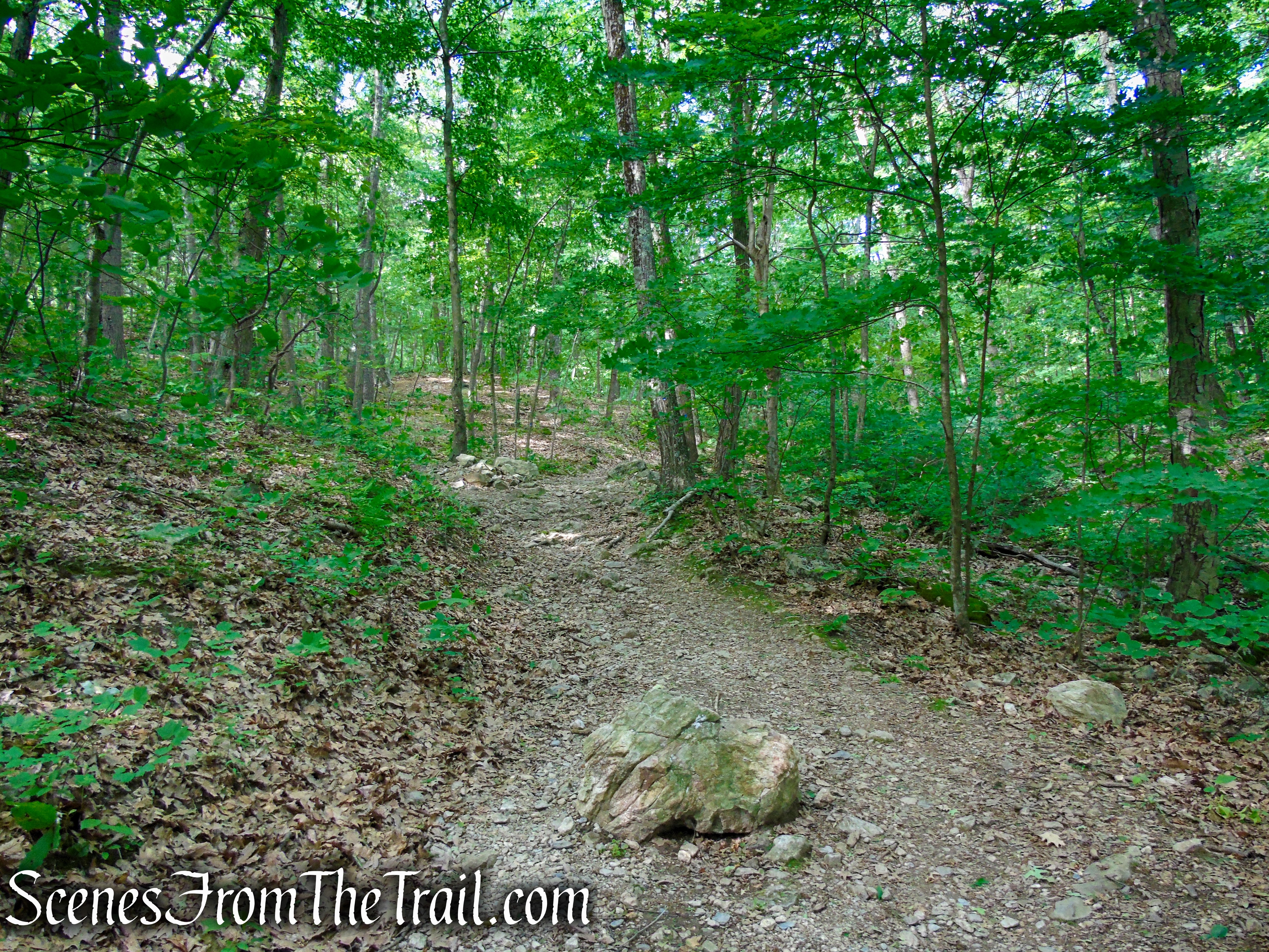 Blue/Orange Trail - Stissing Mountain