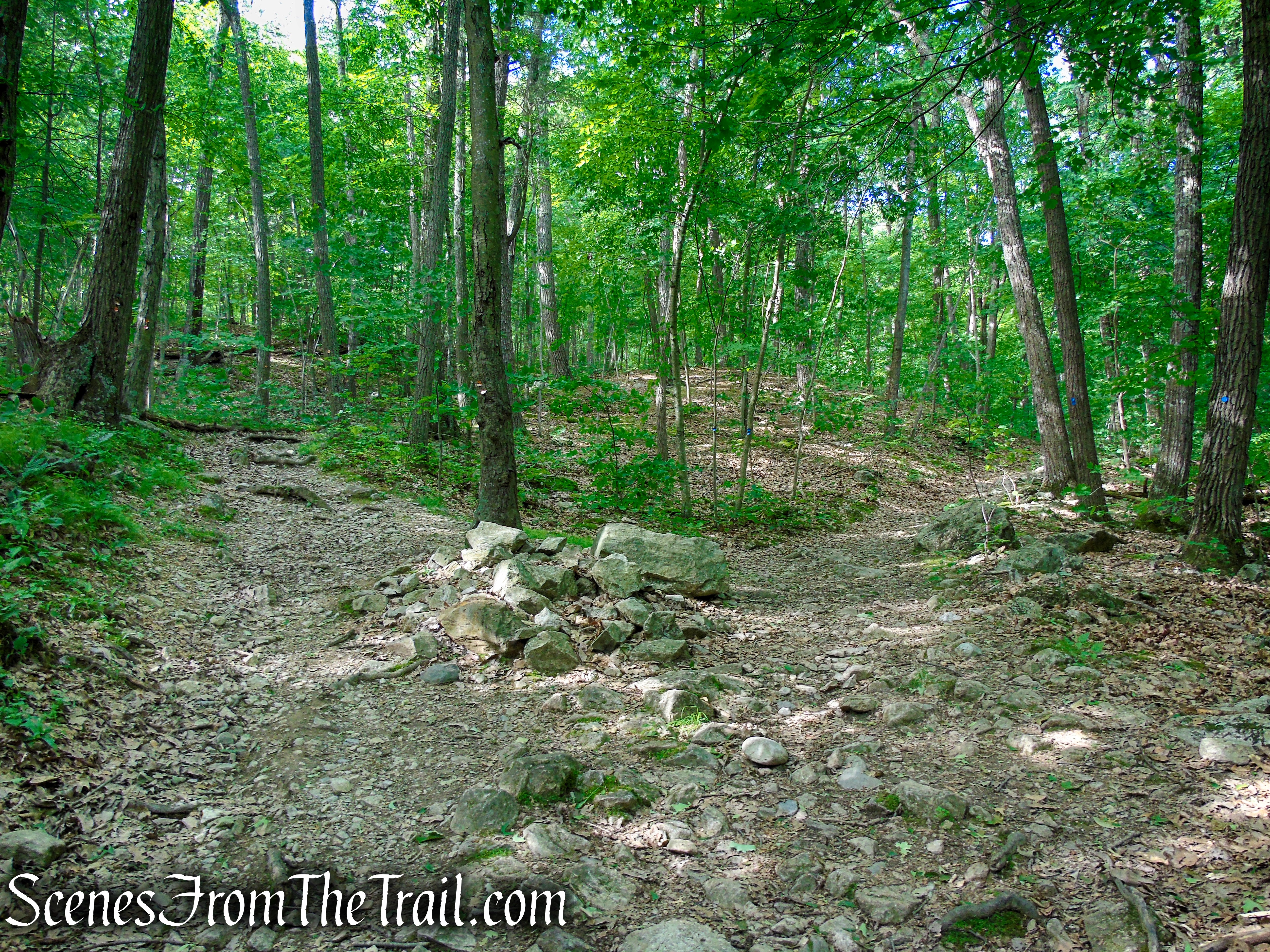 veer left on the Orange Trail