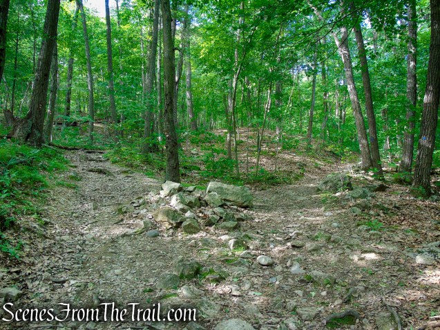 veer left on the Orange Trail