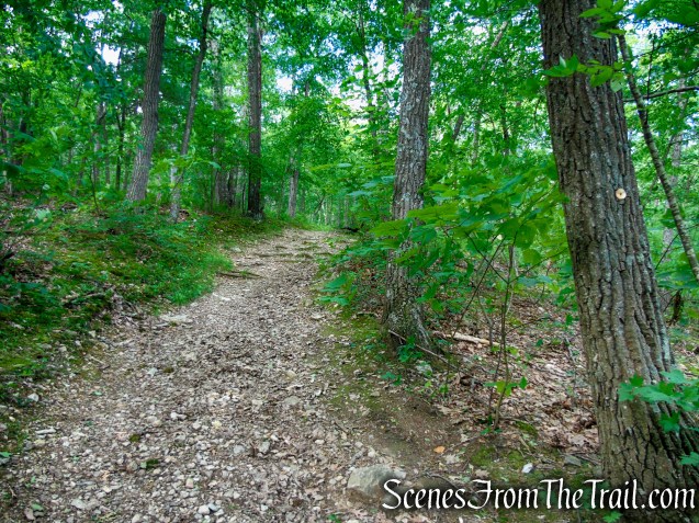 Orange Trail - Stissing Mountain