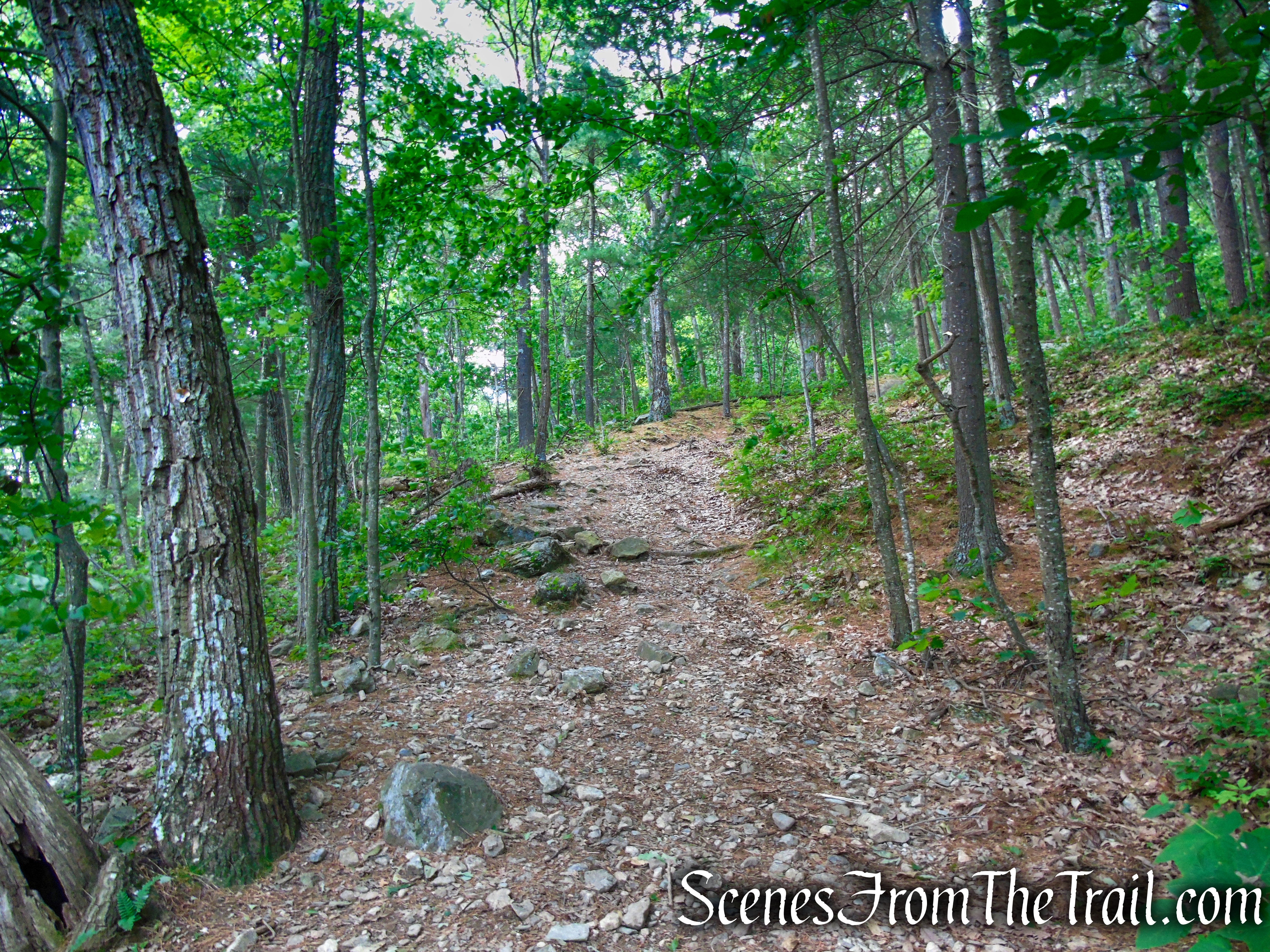 Orange Trail - Stissing Mountain