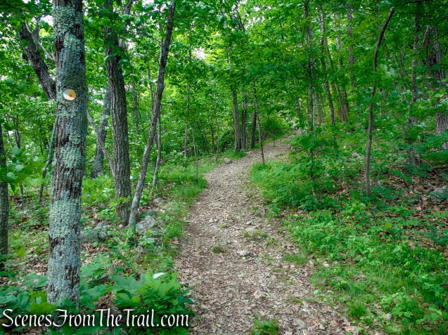 Orange Trail - Stissing Mountain