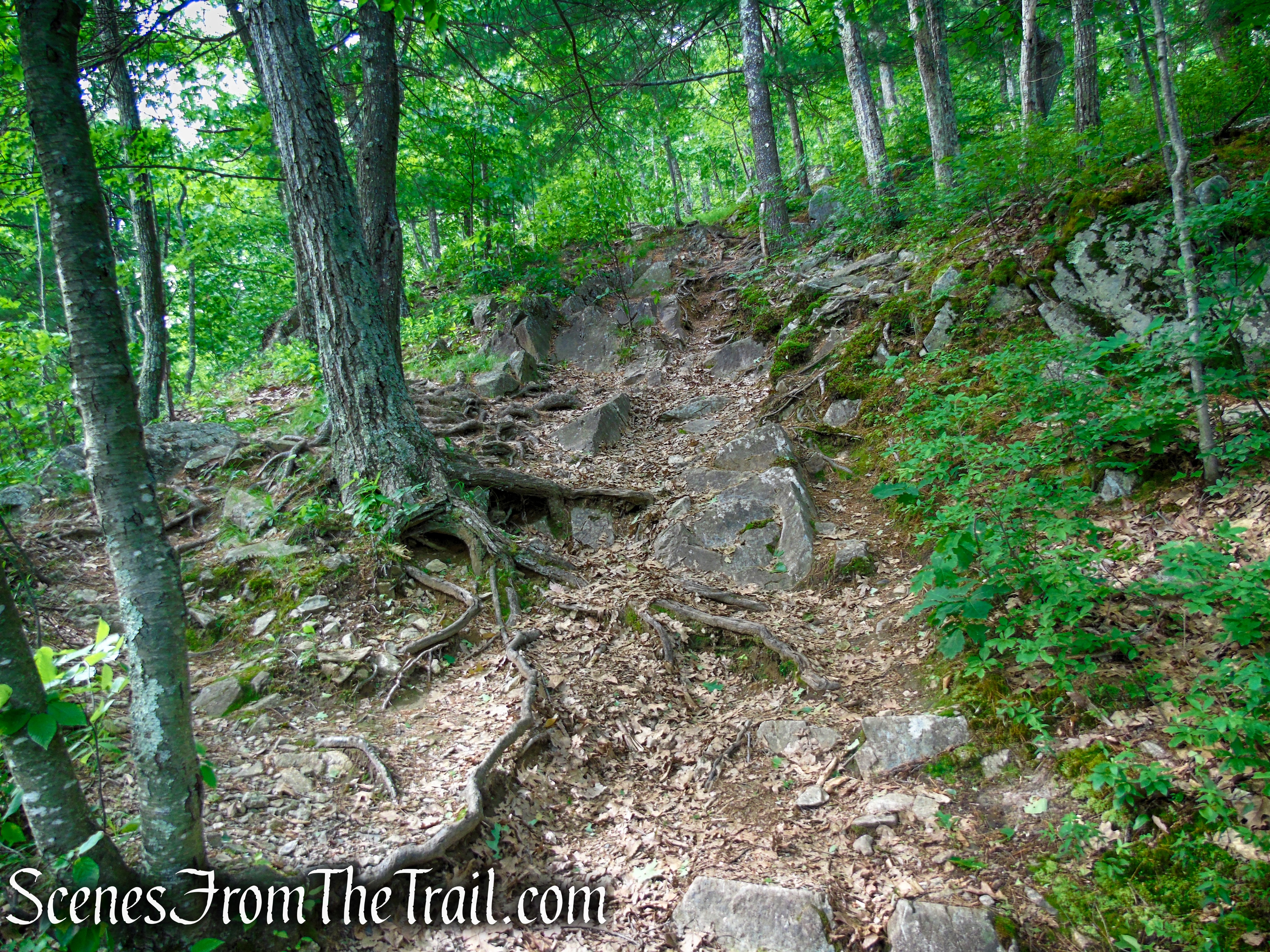 Orange Trail – Stissing Mountain