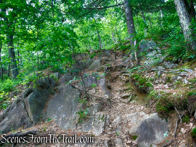 Orange Trail – Stissing Mountain