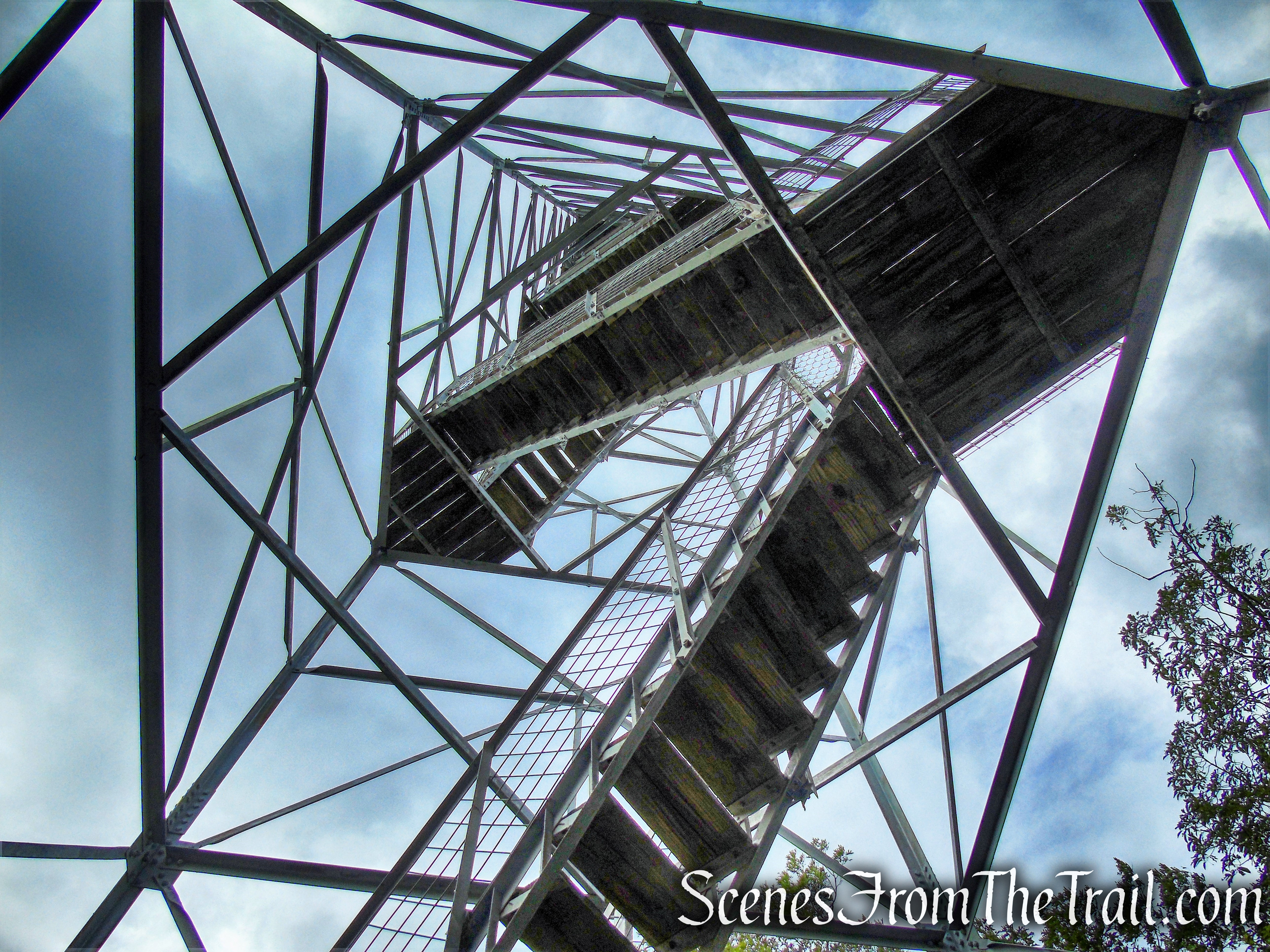 Stissing Mountain Fire Tower