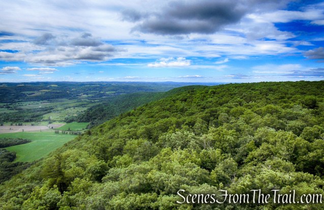 view southeast - Stissing Mountain Fire Tower
