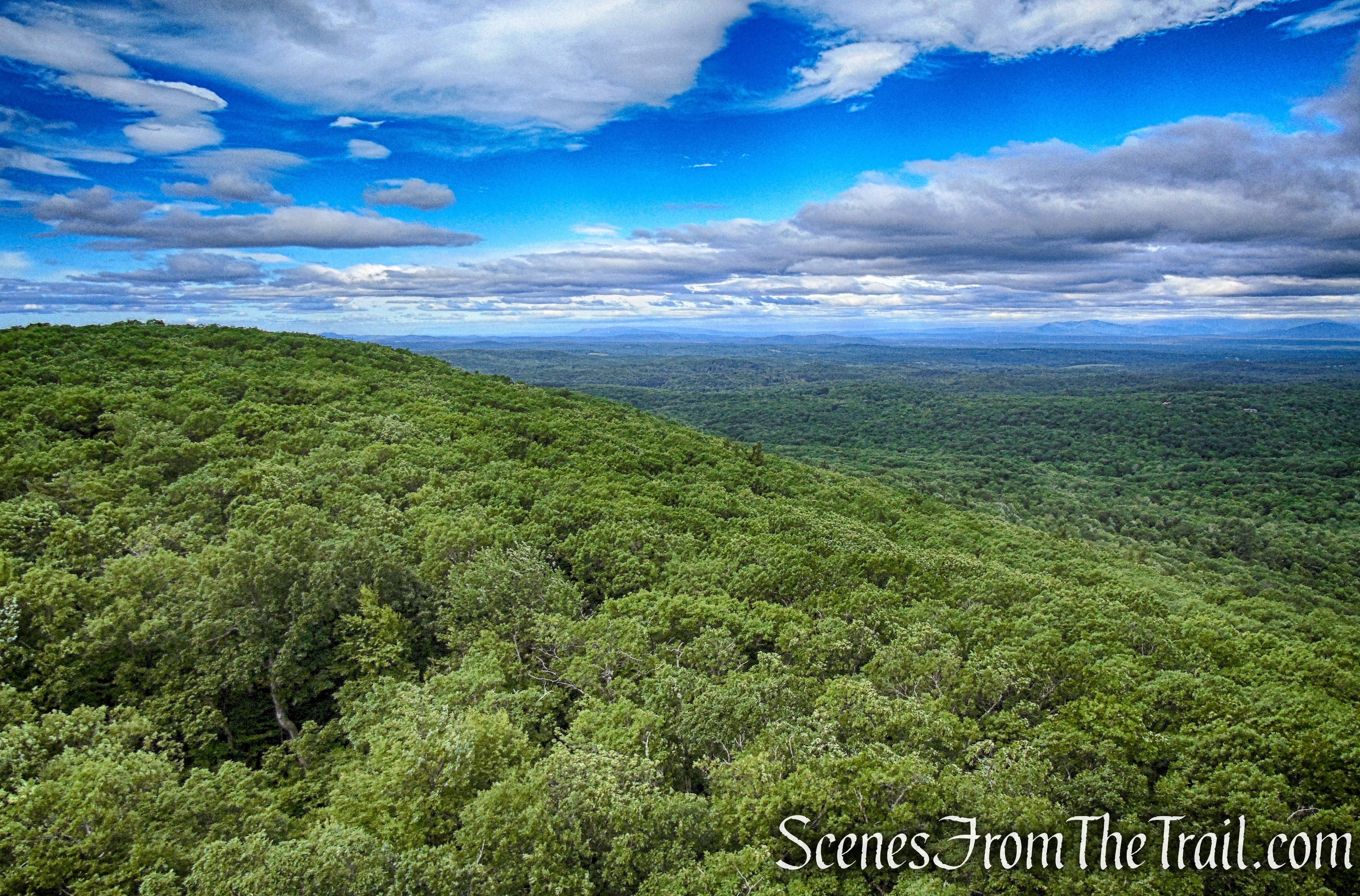 view southwest - Stissing Mountain Fire Tower