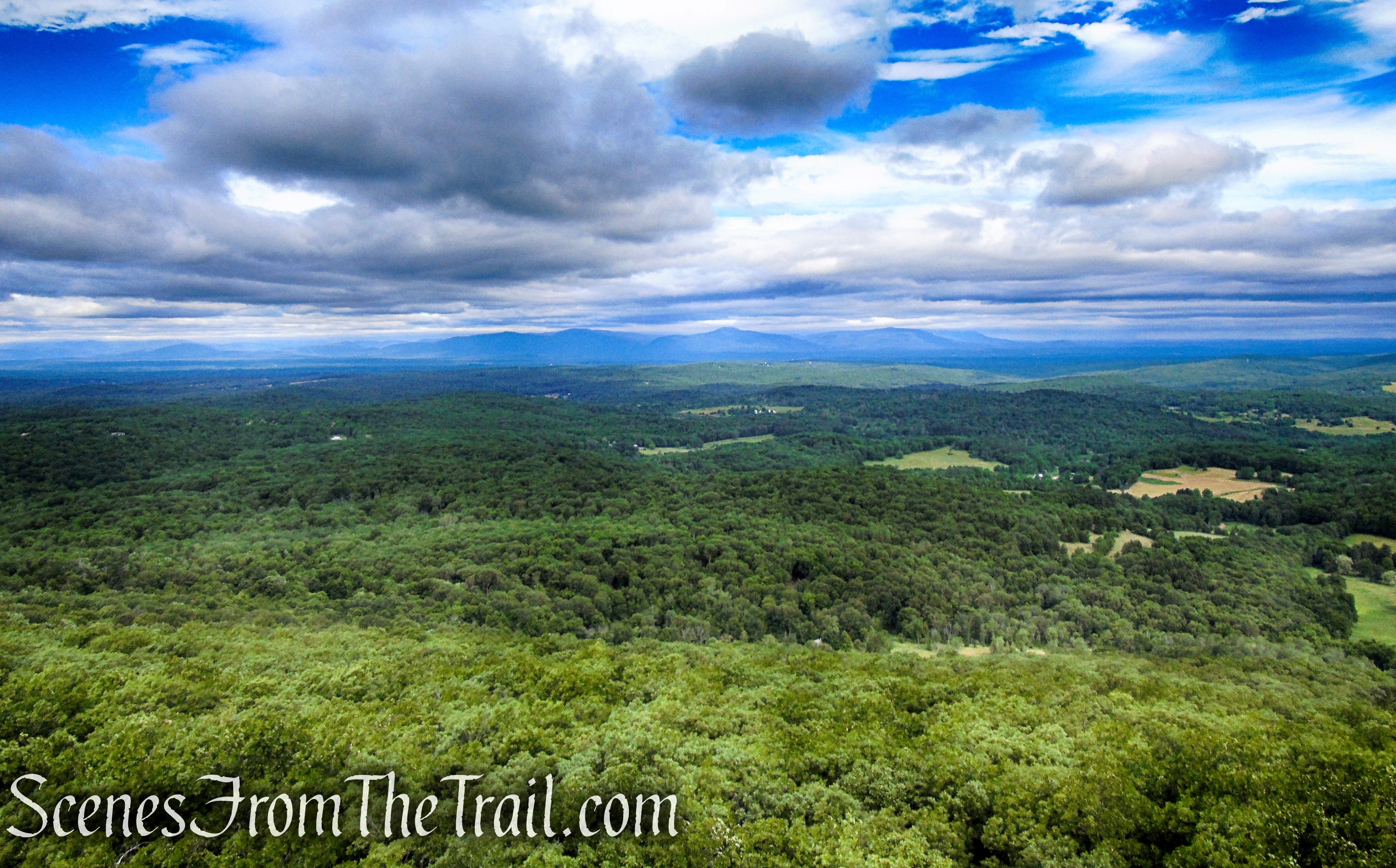 view west - Stissing Mountain Fire Tower