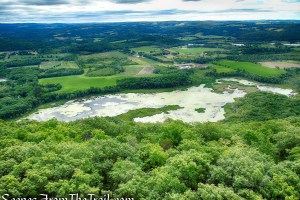 Thompson Pond as viewed from Stissing Mountain Fire Tower