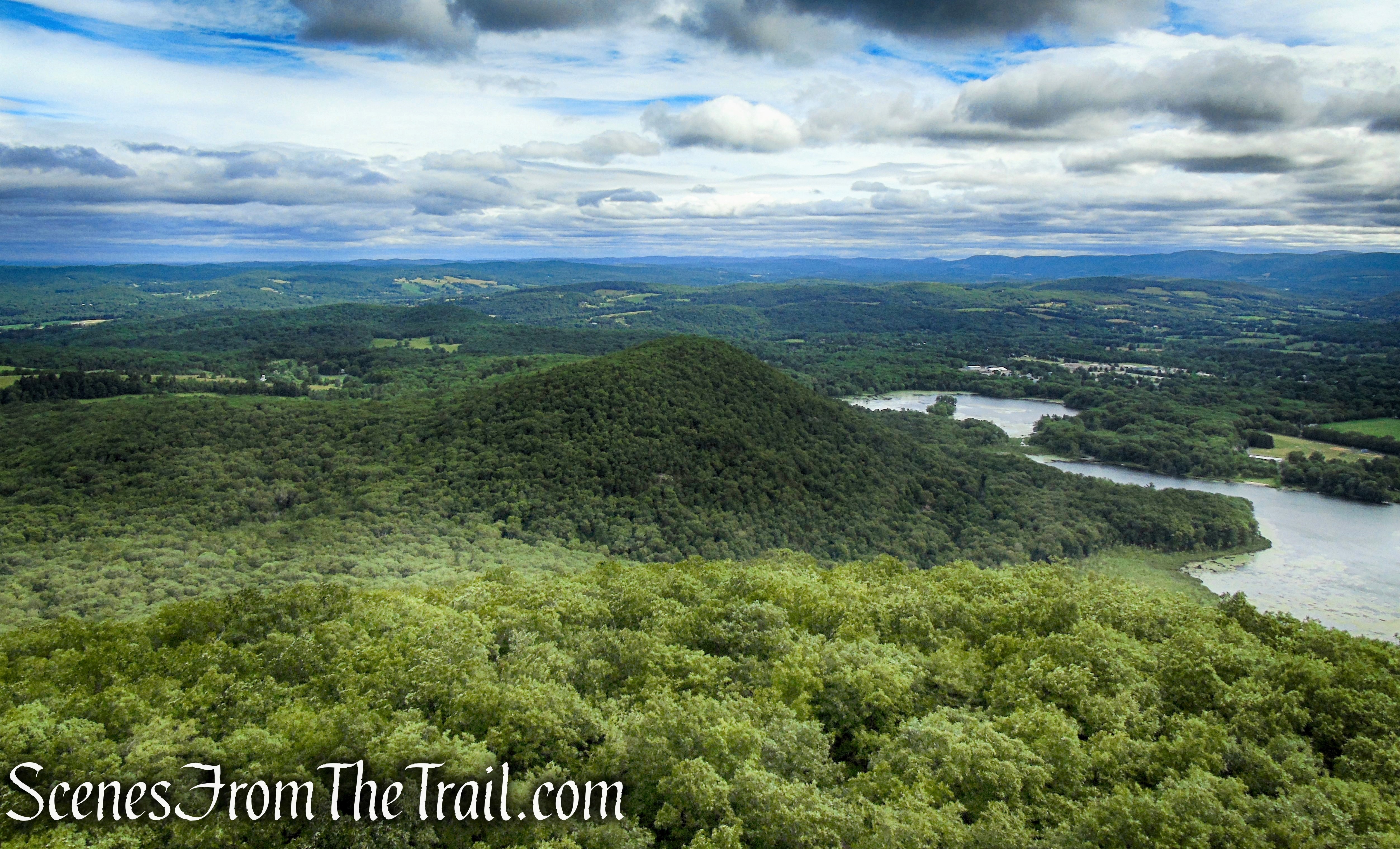 view northeast - Stissing Mountain Fire Tower