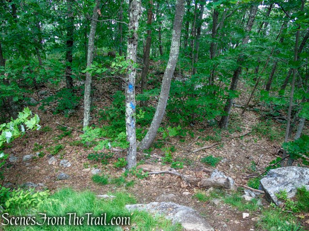 Blue Trail – Stissing Mountain