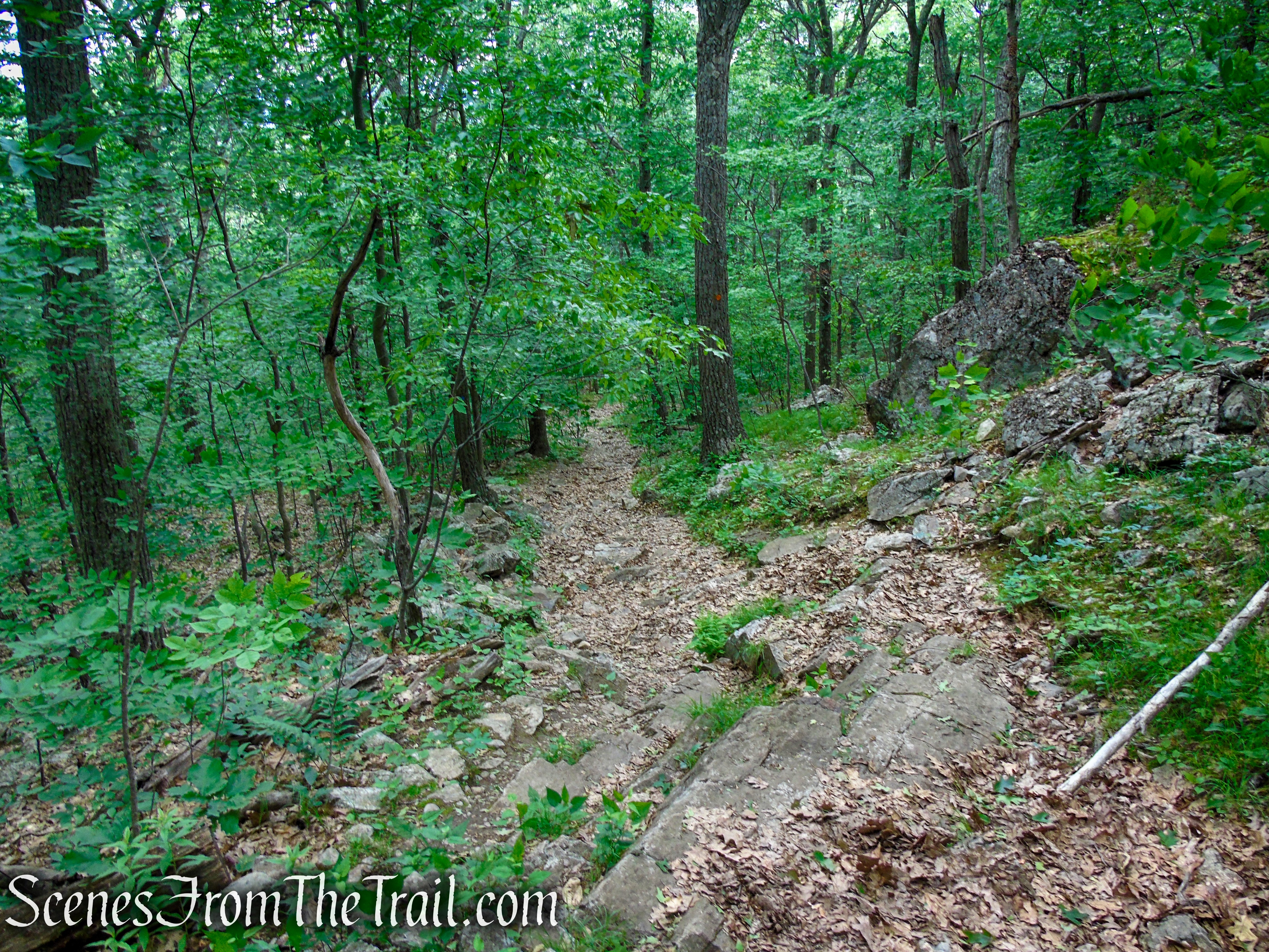 Blue Trail – Stissing Mountain