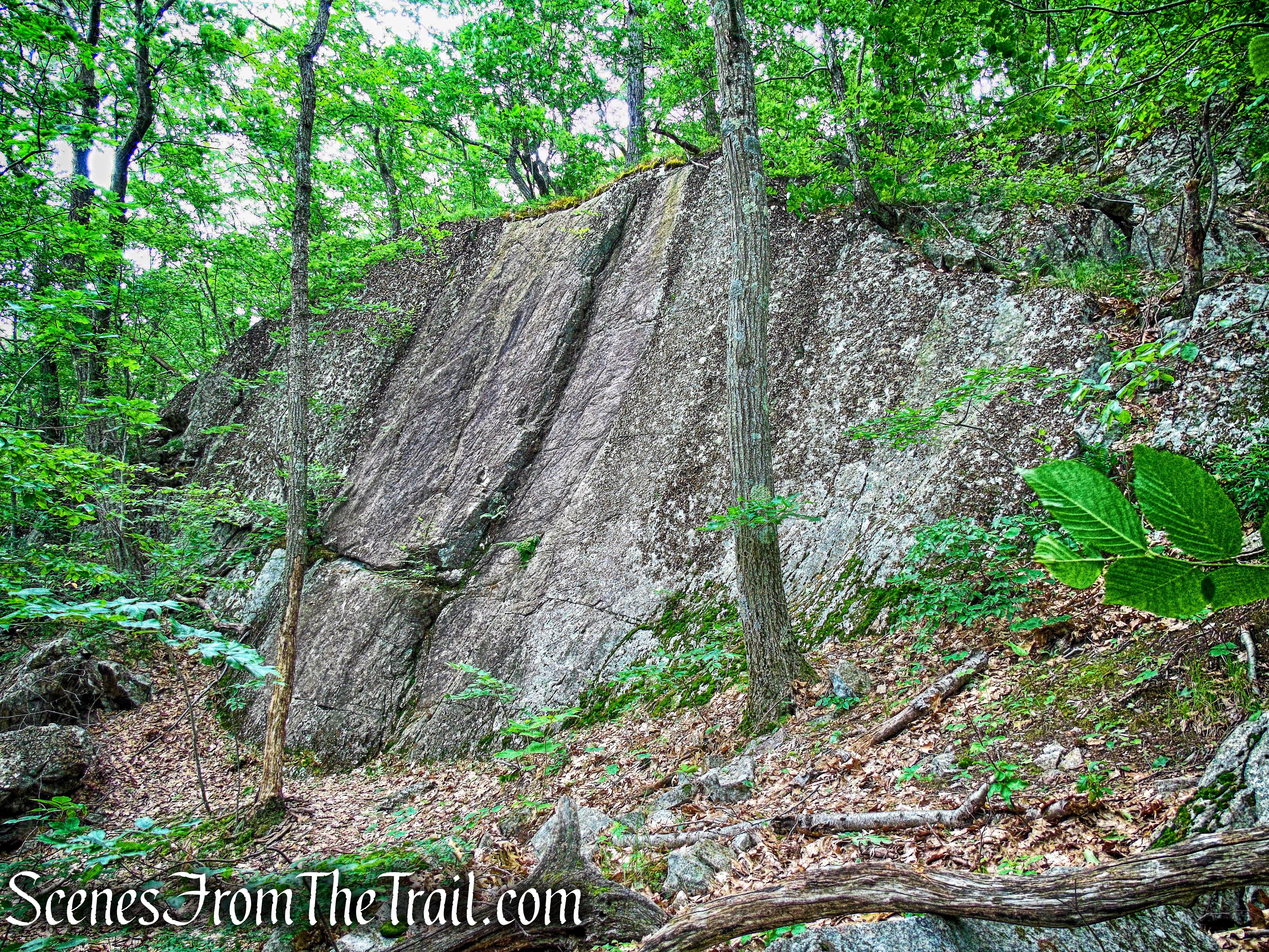 Blue Trail – Stissing Mountain