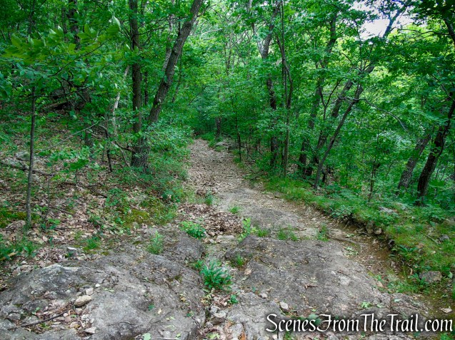 Blue Trail – Stissing Mountain