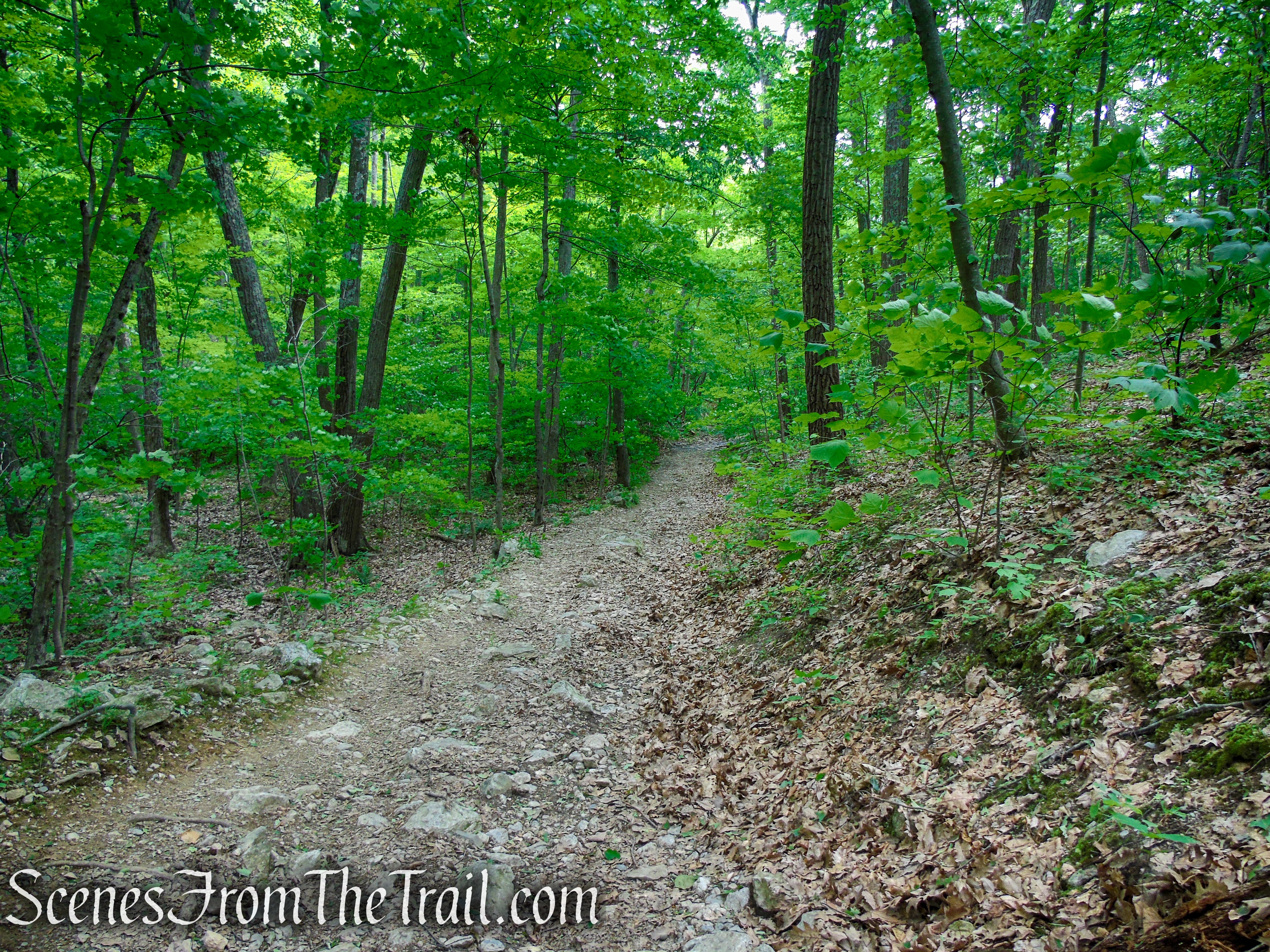 Blue/Orange Trail – Stissing Mountain
