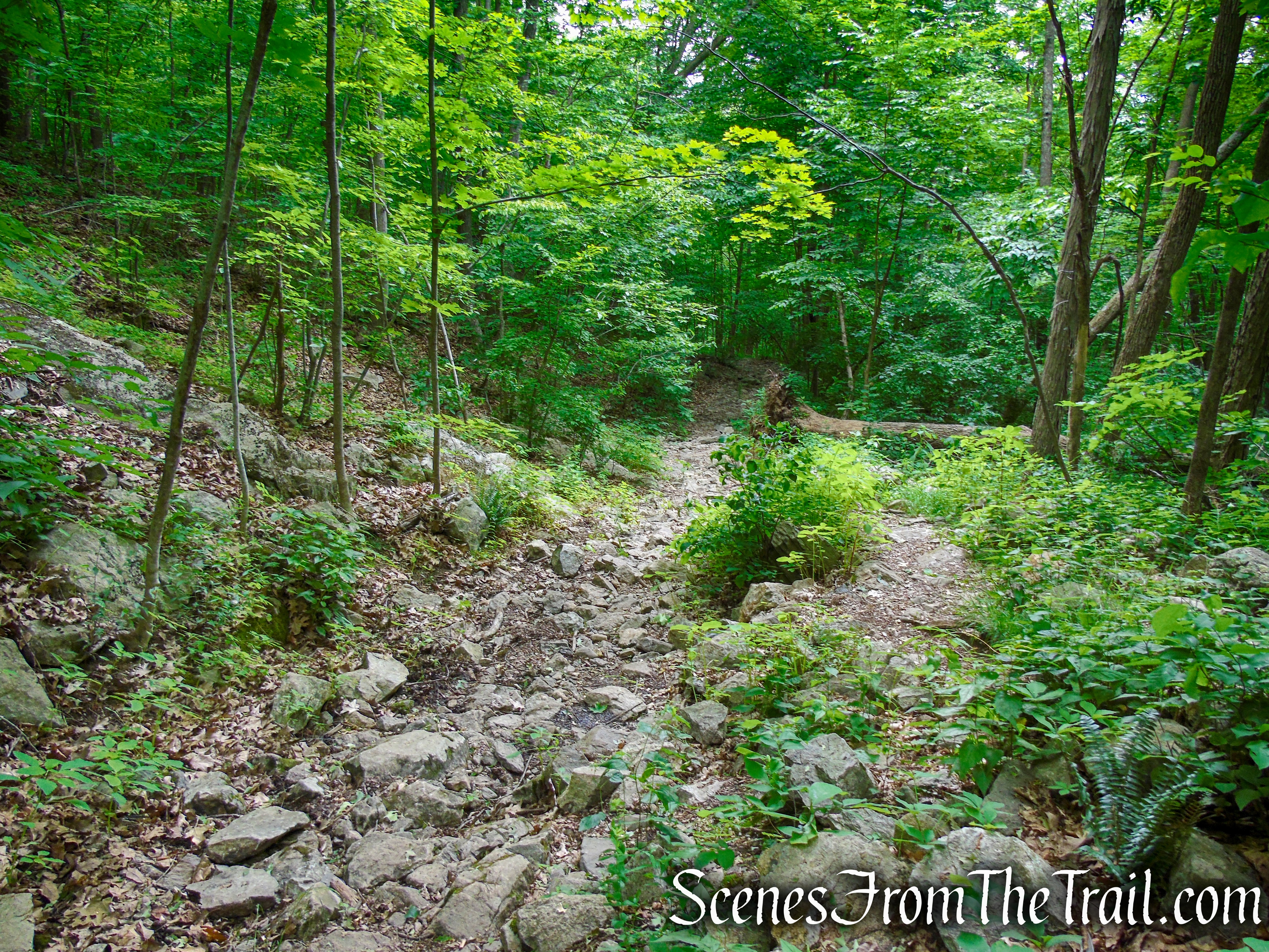 Blue/Orange Trail – Stissing Mountain