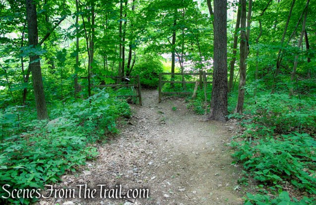 Blue/Orange Trail – Stissing Mountain